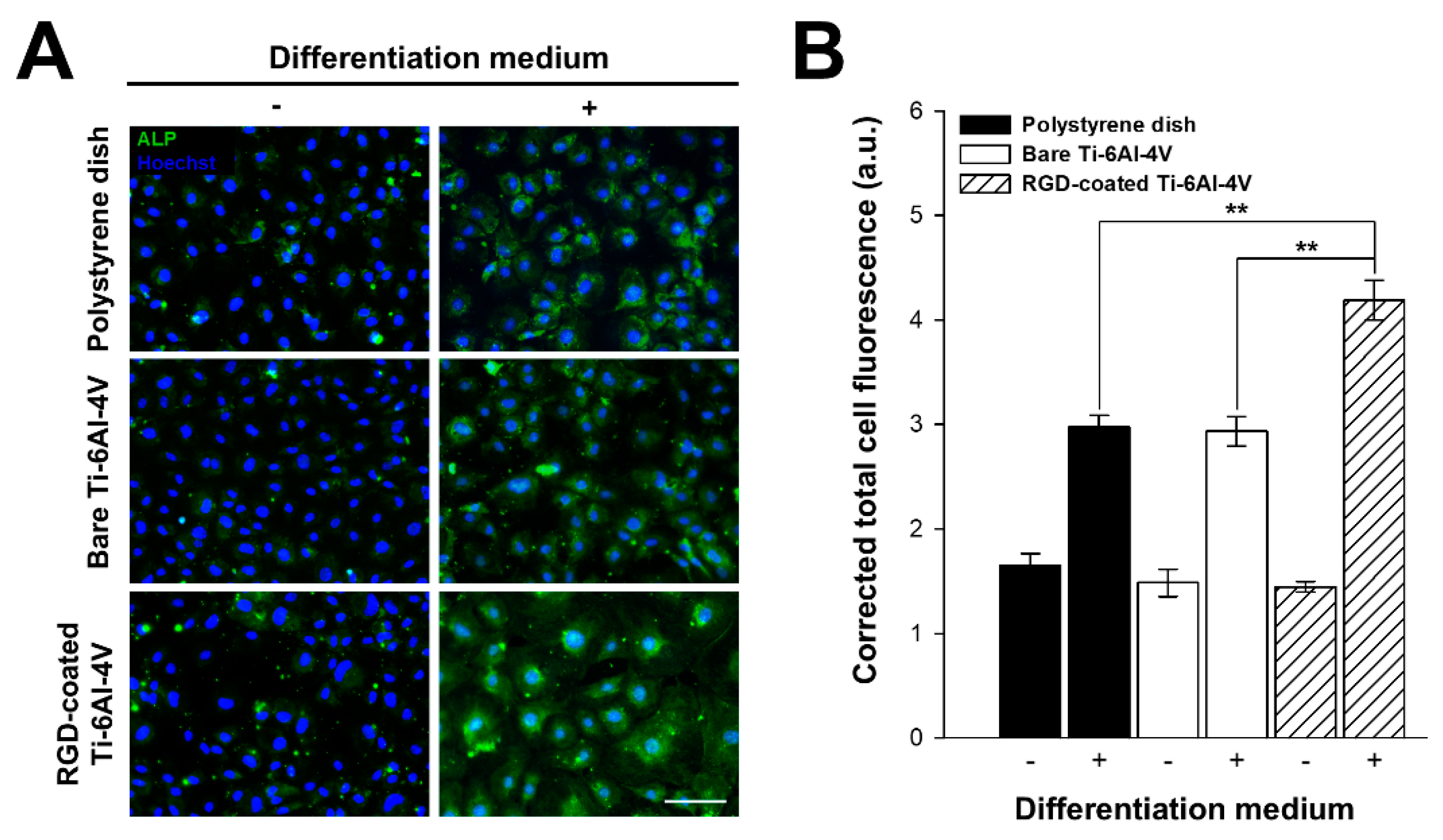 Biomimetics 10 00058 g006