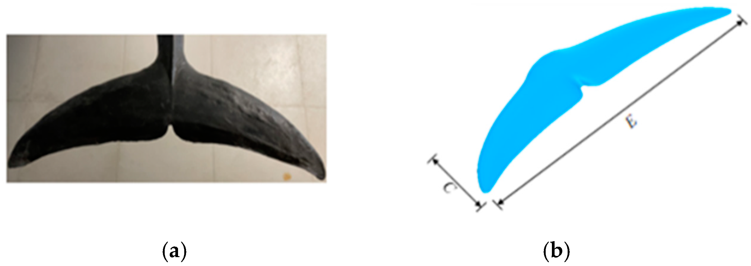 Biomimetics 10 00059 g001 Biomimetics 10 00059 g001