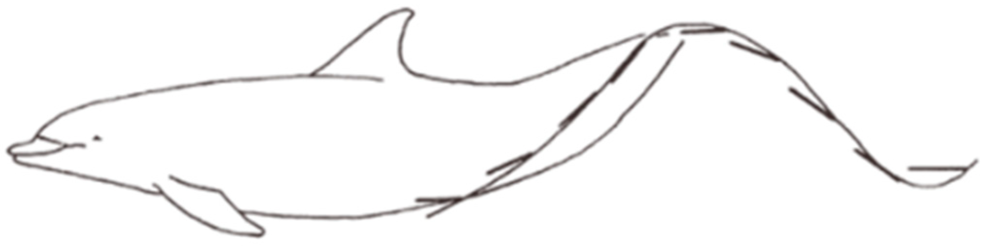 Biomimetics 10 00059 g002 Biomimetics 10 00059 g002