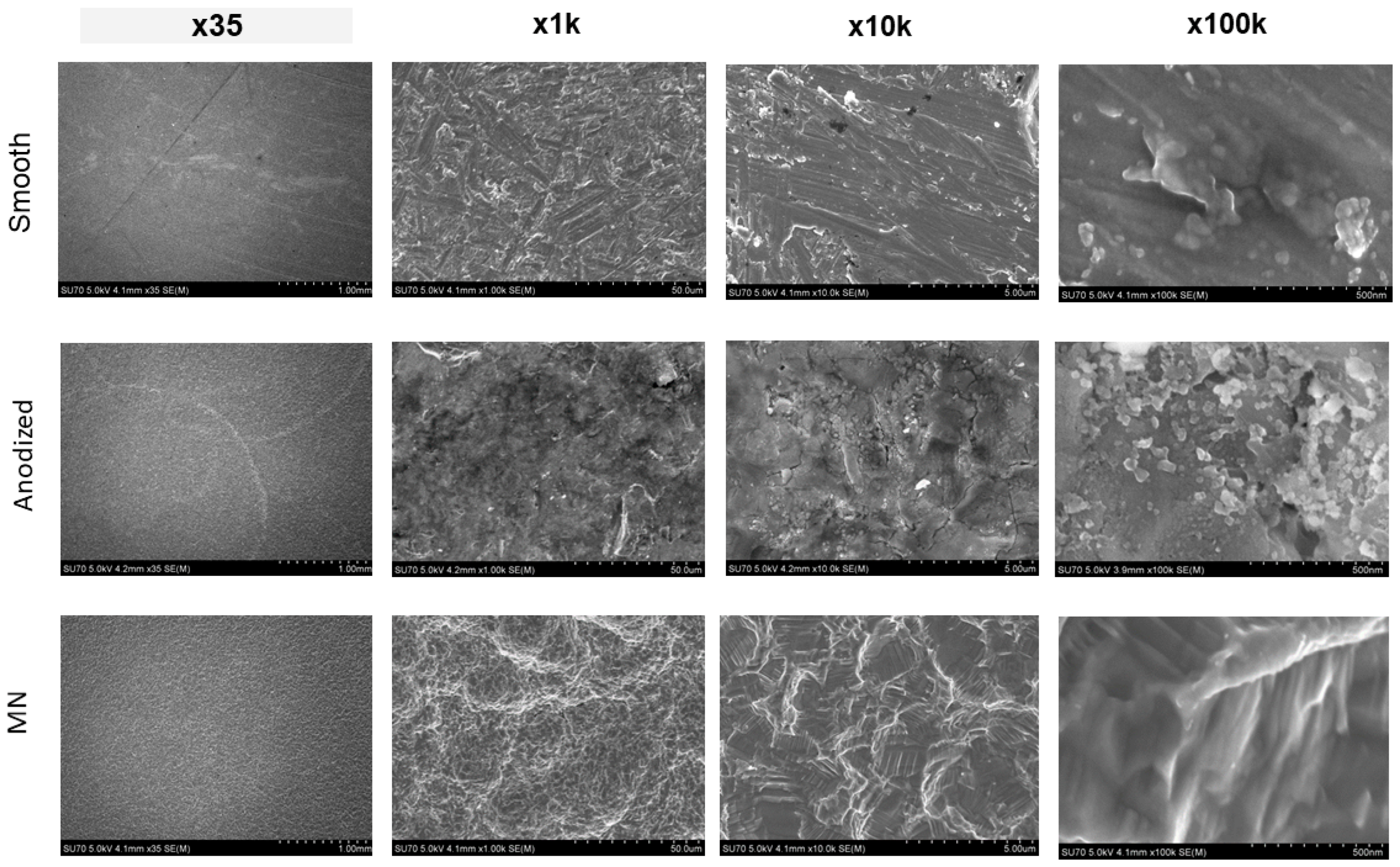 Biomimetics 10 00066 g003