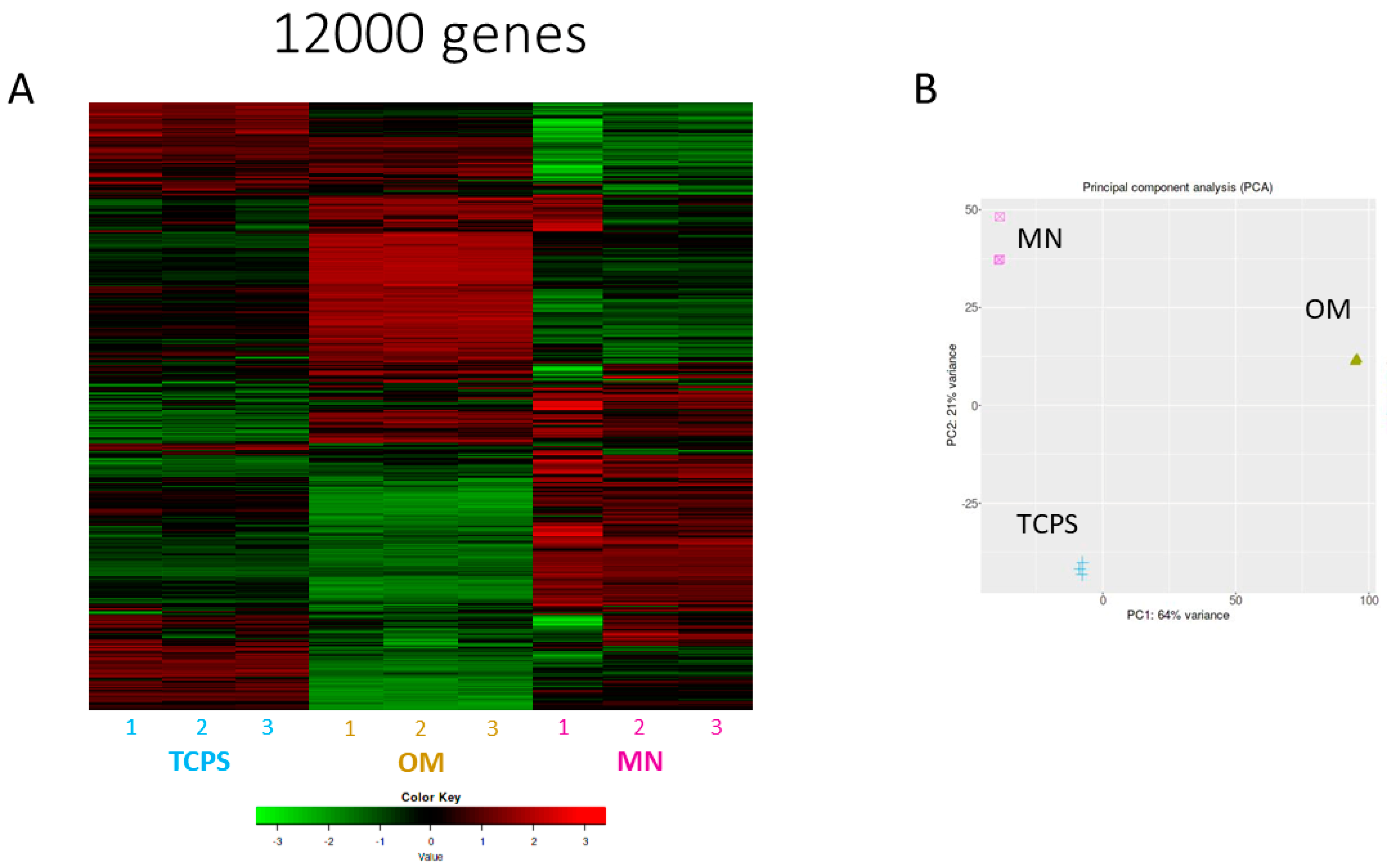 Biomimetics 10 00066 g007