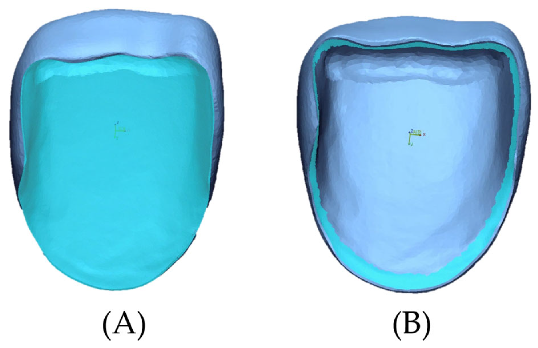 Biomimetics 10 00067 g003