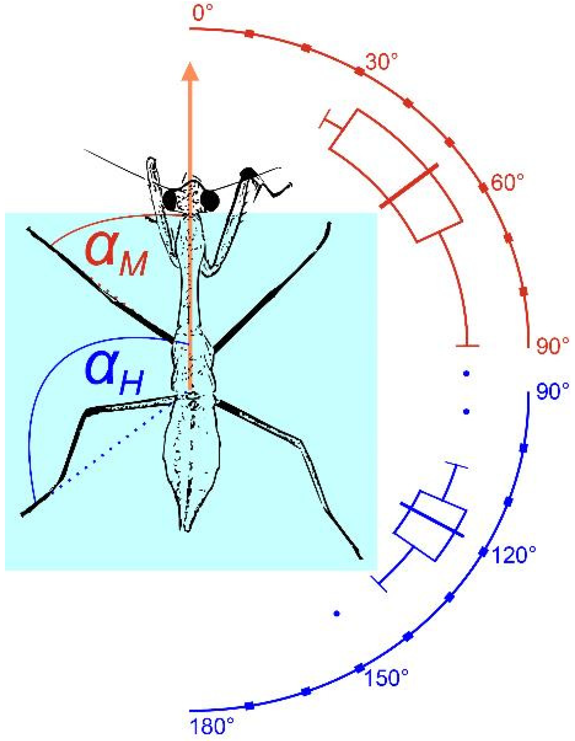Biomimetics 10 00069 g003 Biomimetics 10 00069 g003
