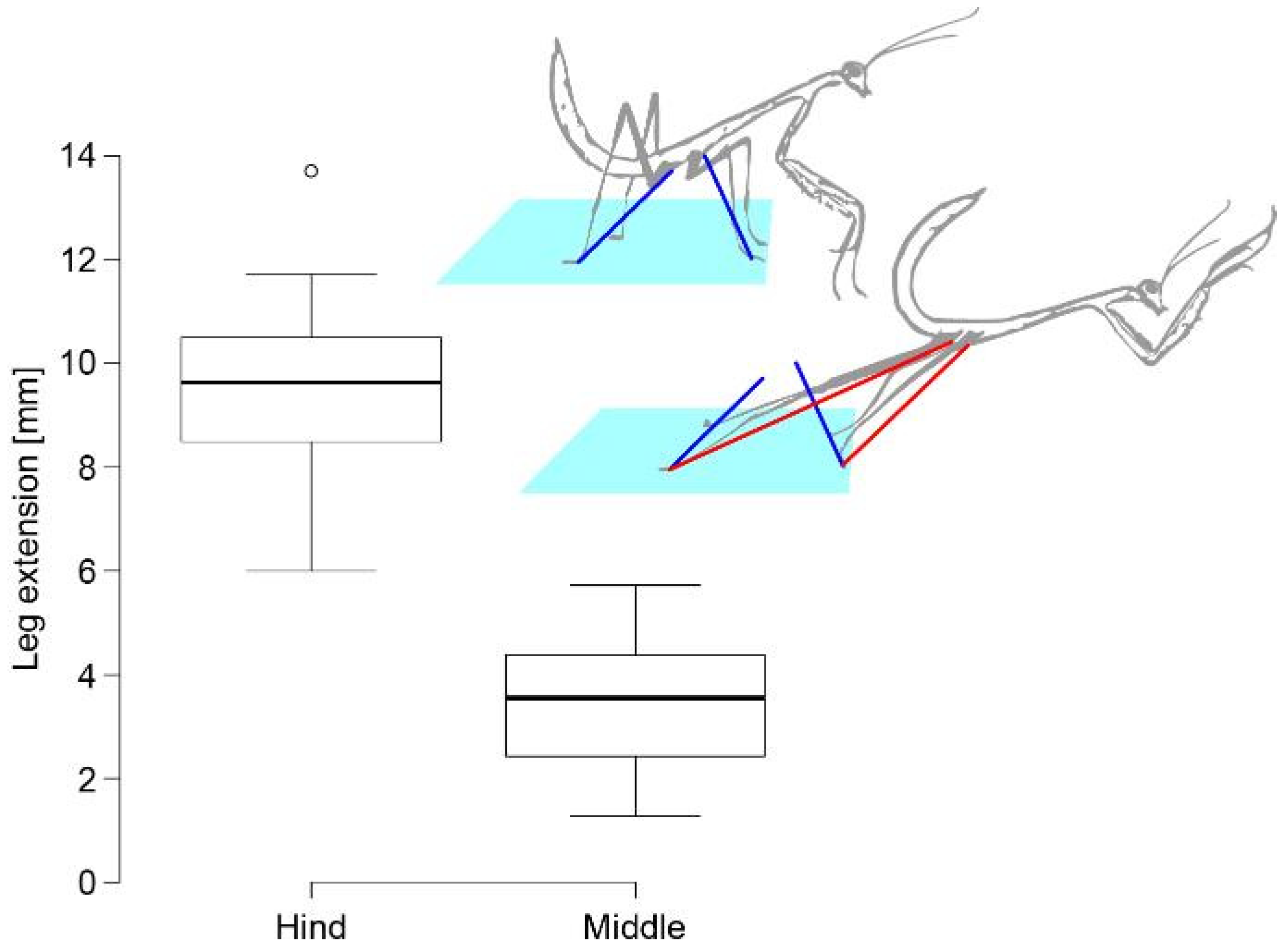 Biomimetics 10 00069 g004 Biomimetics 10 00069 g004