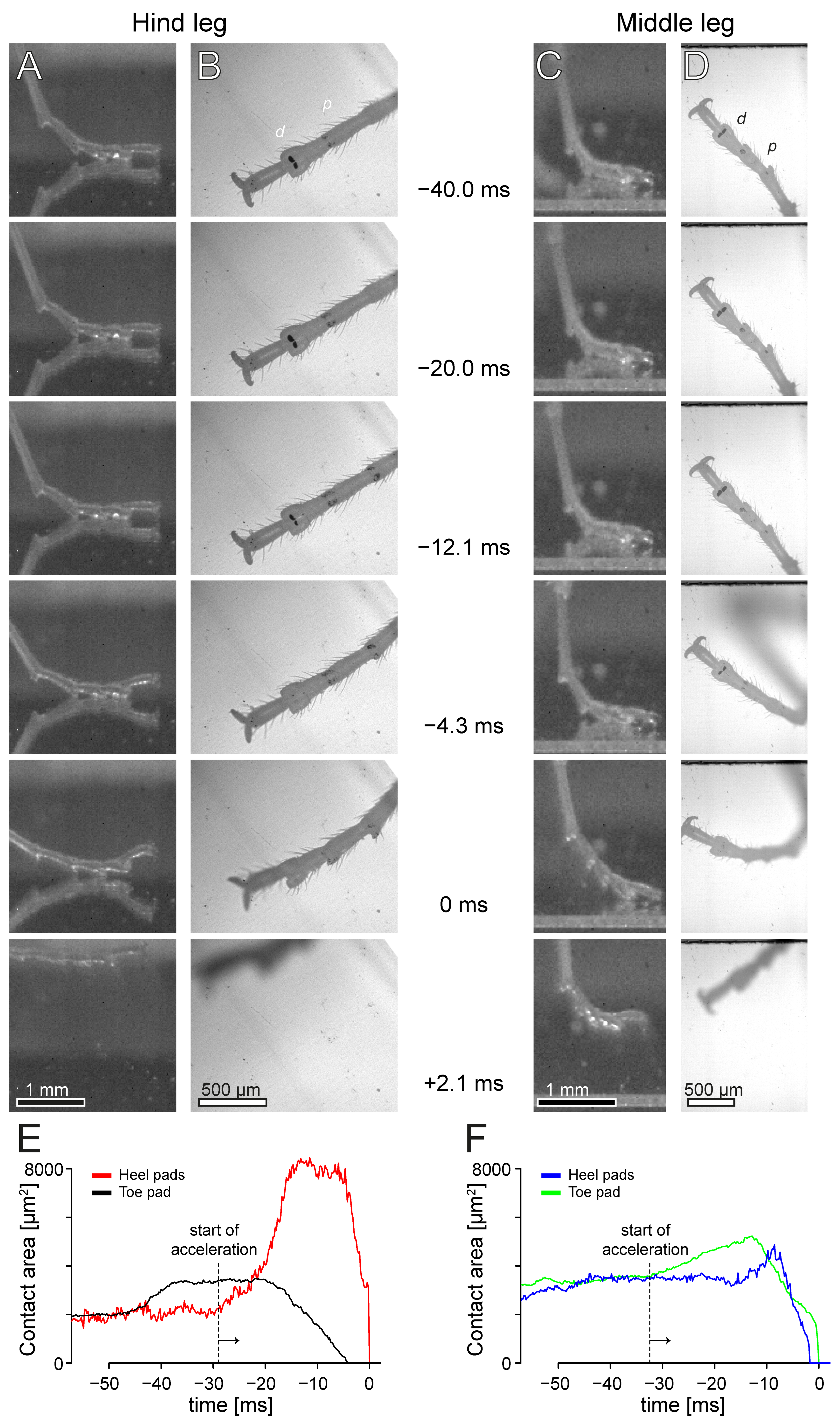 Biomimetics 10 00069 g005 Biomimetics 10 00069 g005