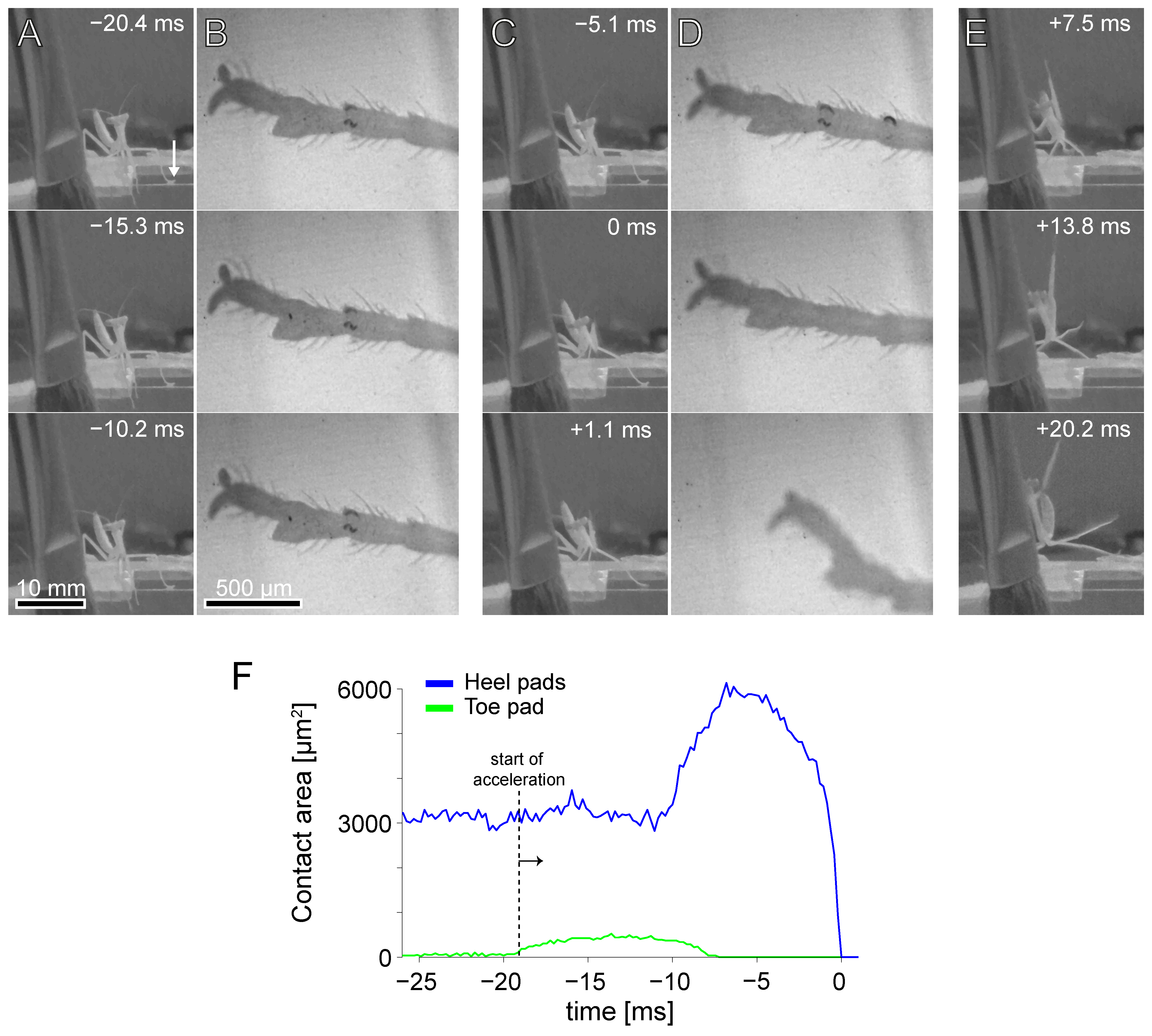 Biomimetics 10 00069 g007 Biomimetics 10 00069 g007