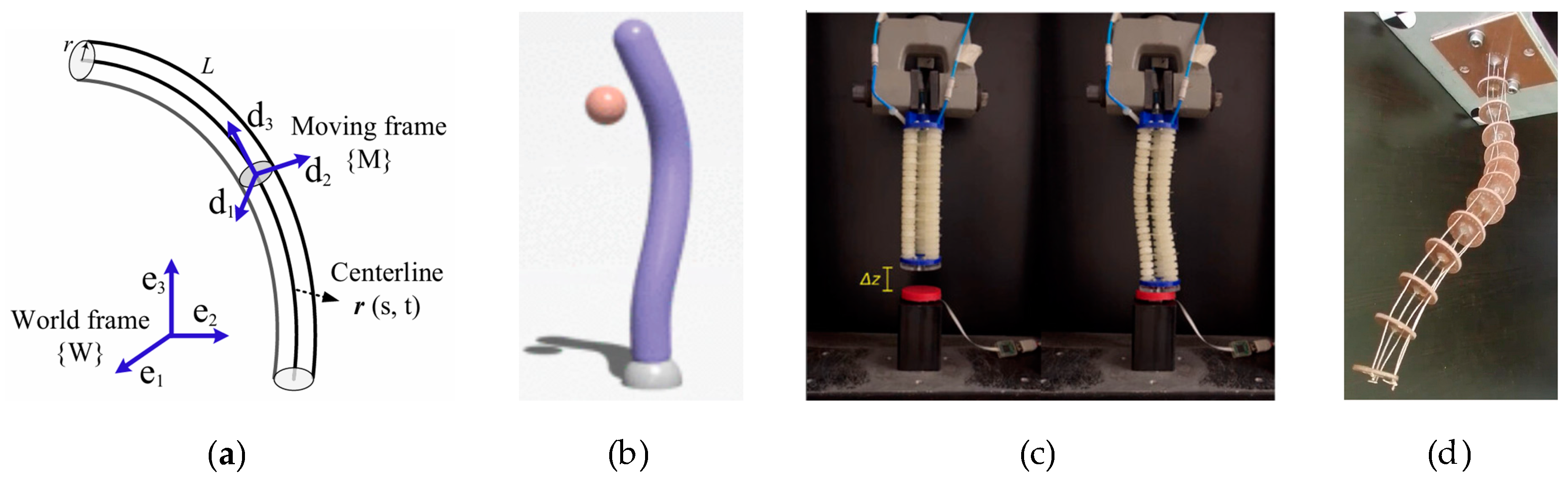 Biomimetics 10 00071 g003