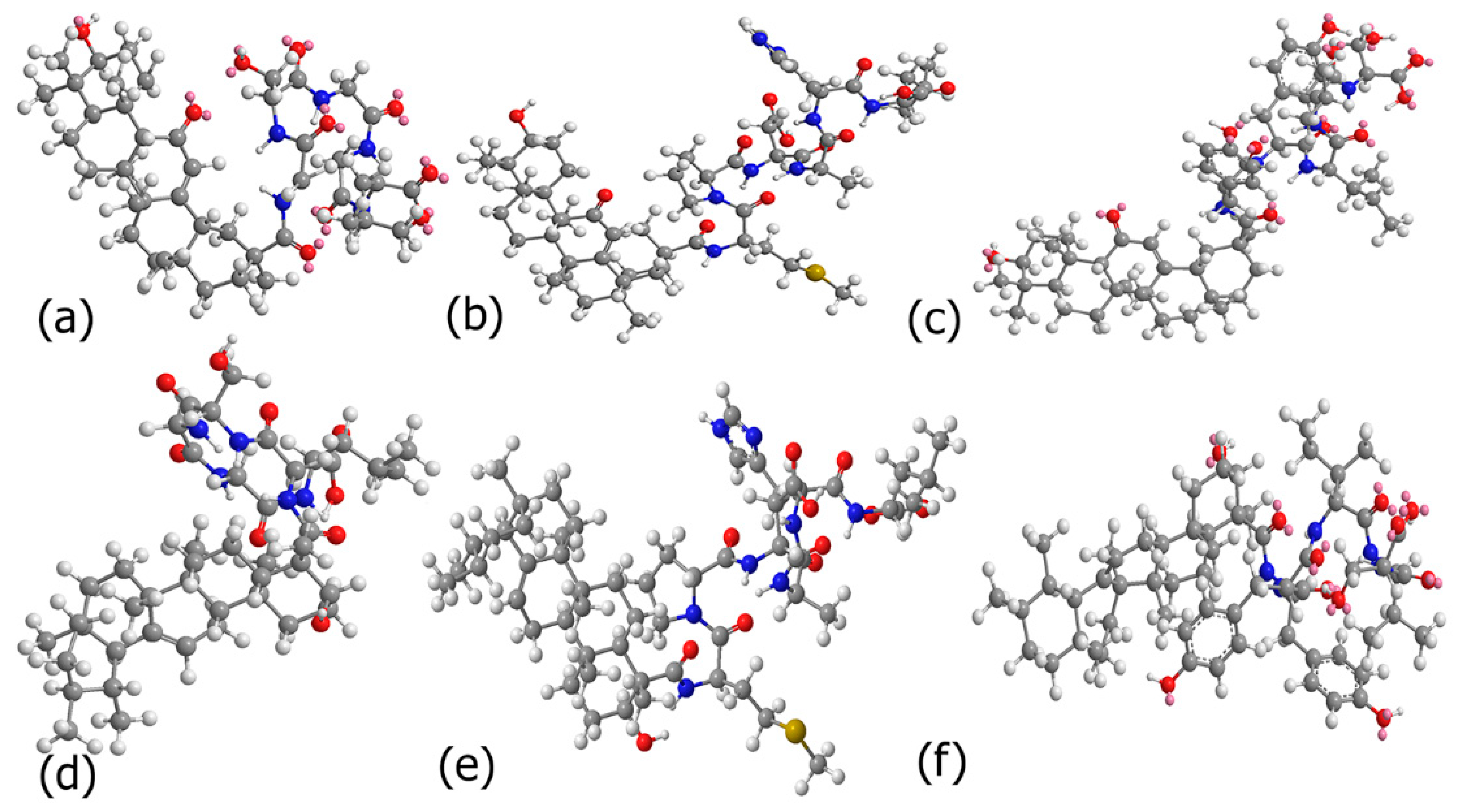 Biomimetics 10 00082 g001
