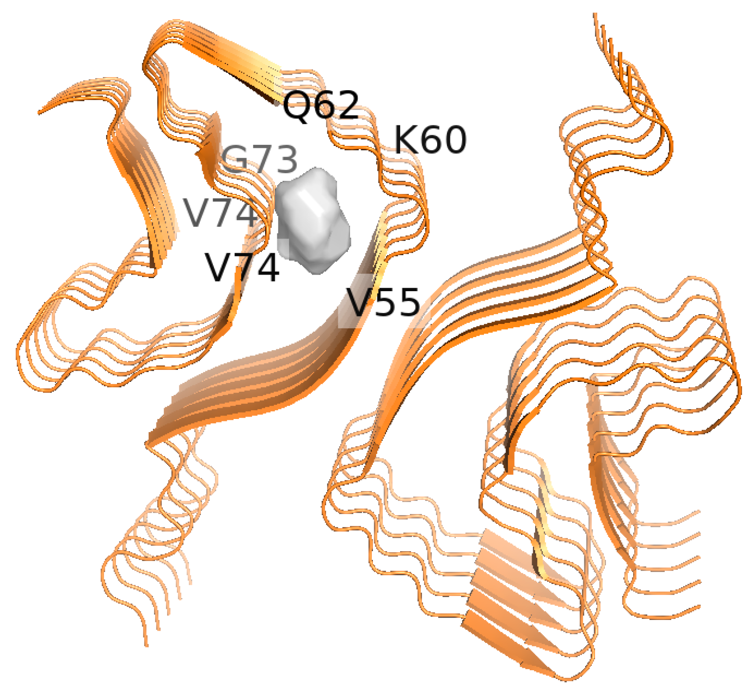 Biomimetics 10 00082 g002