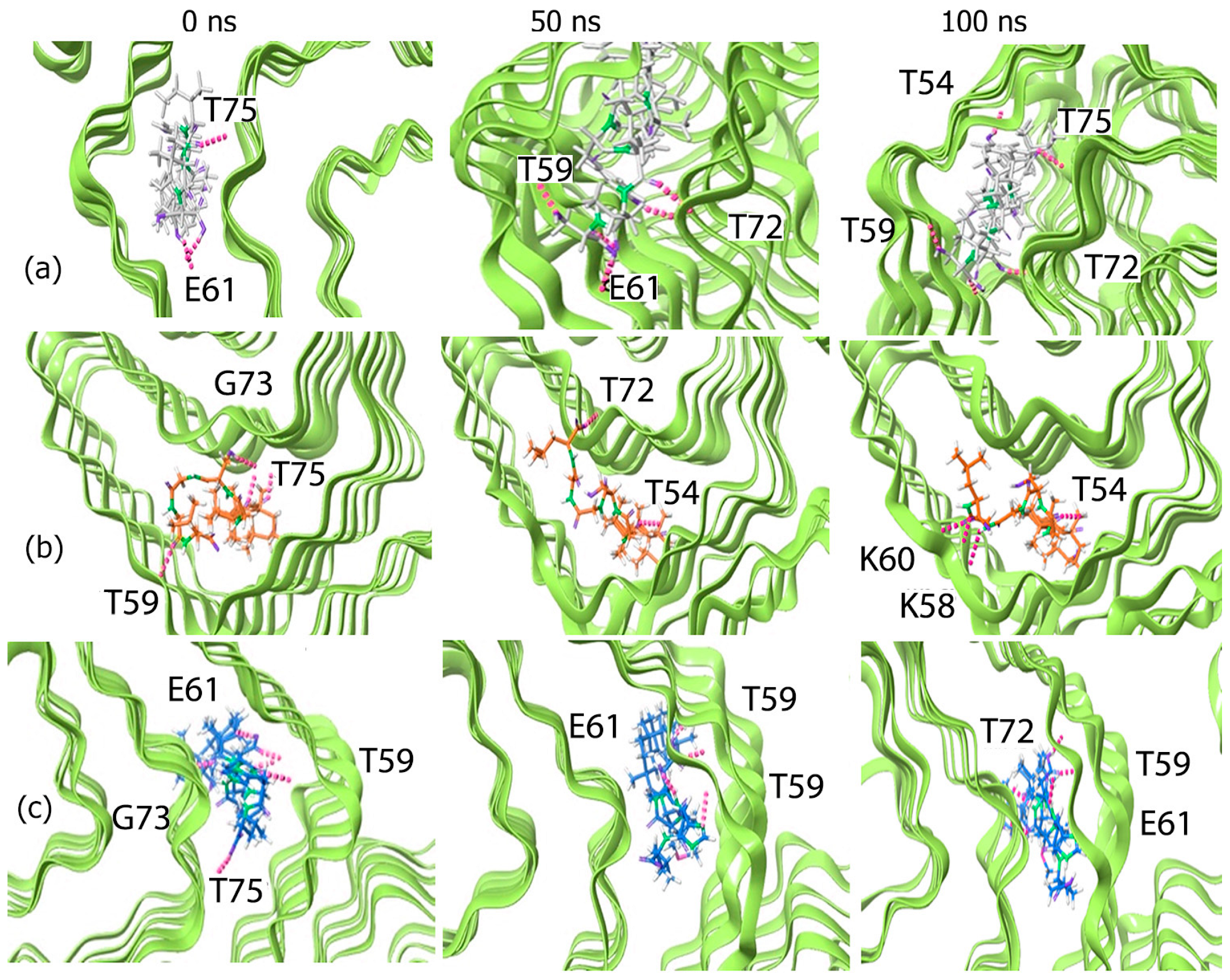 Biomimetics 10 00082 g004
