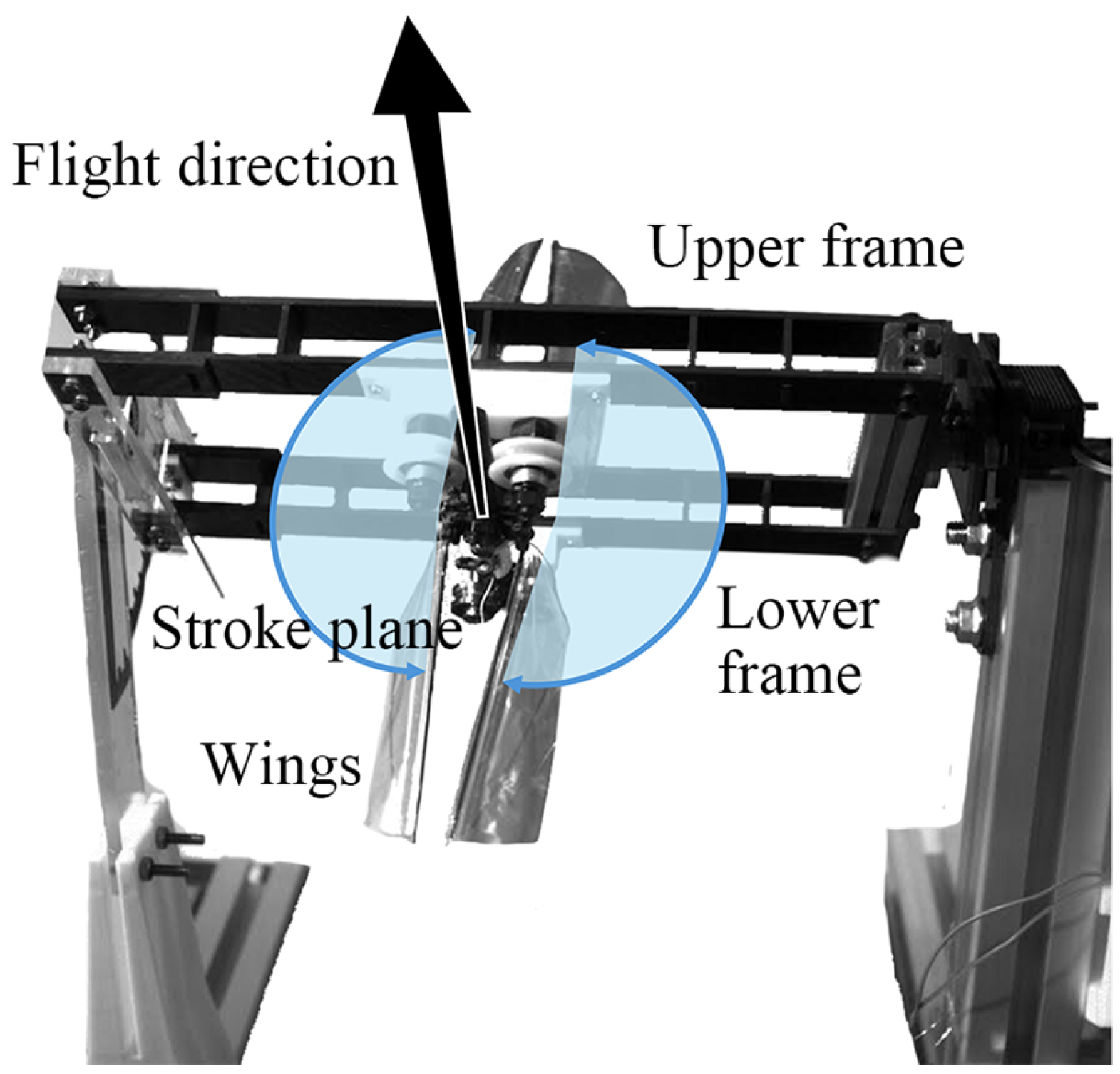 Biomimetics 10 00083 g004