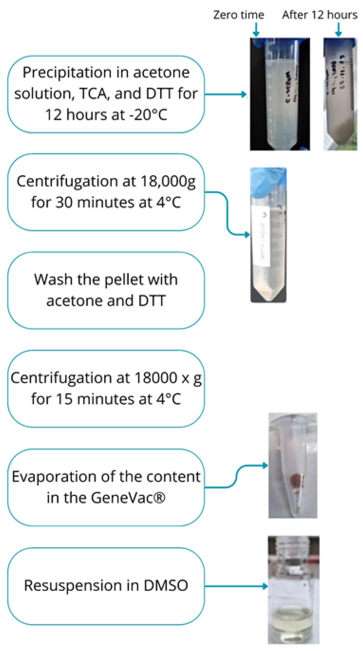 Biomimetics 10 00085 g008