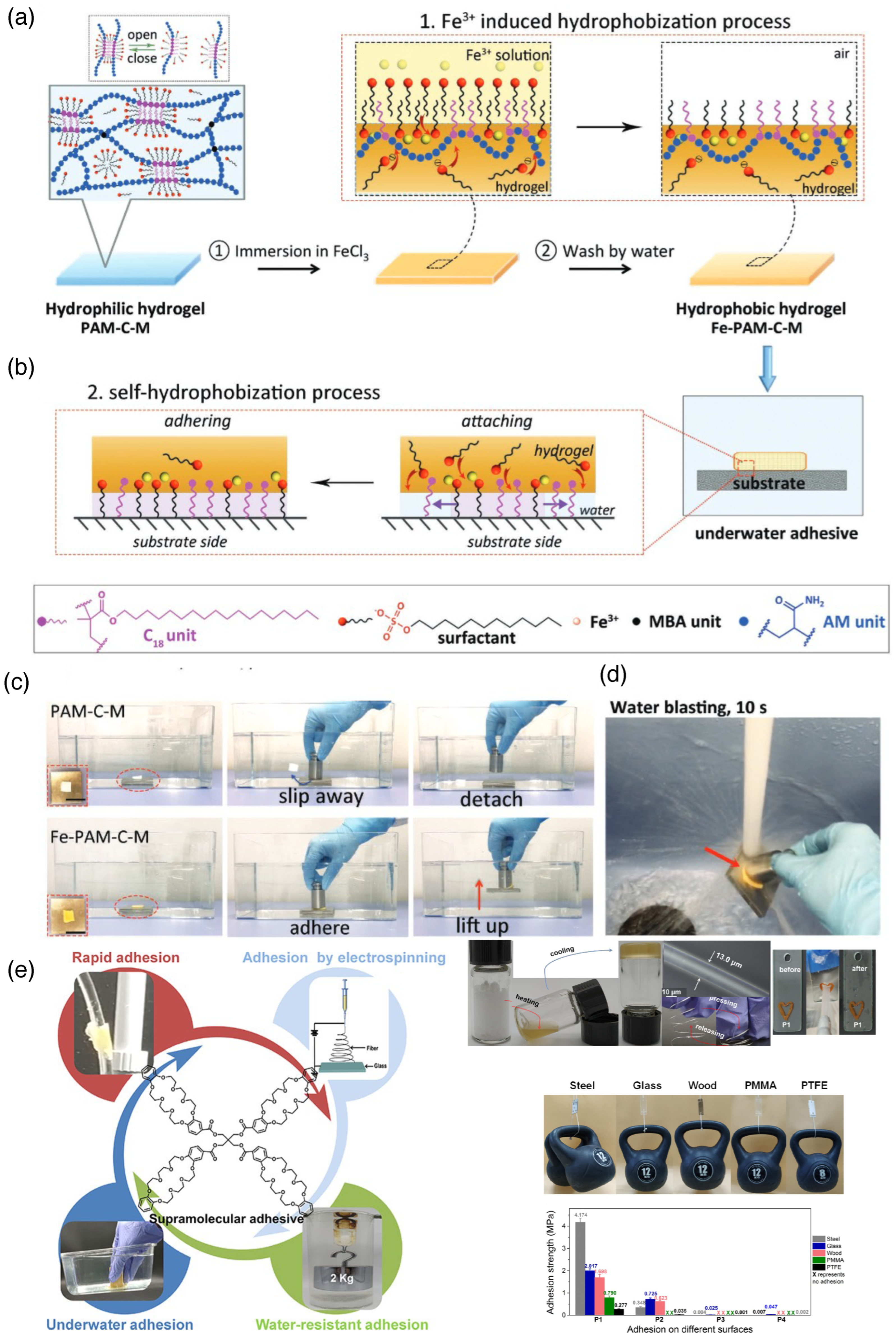 Biomimetics 10 00087 g003 Biomimetics 10 00087 g003