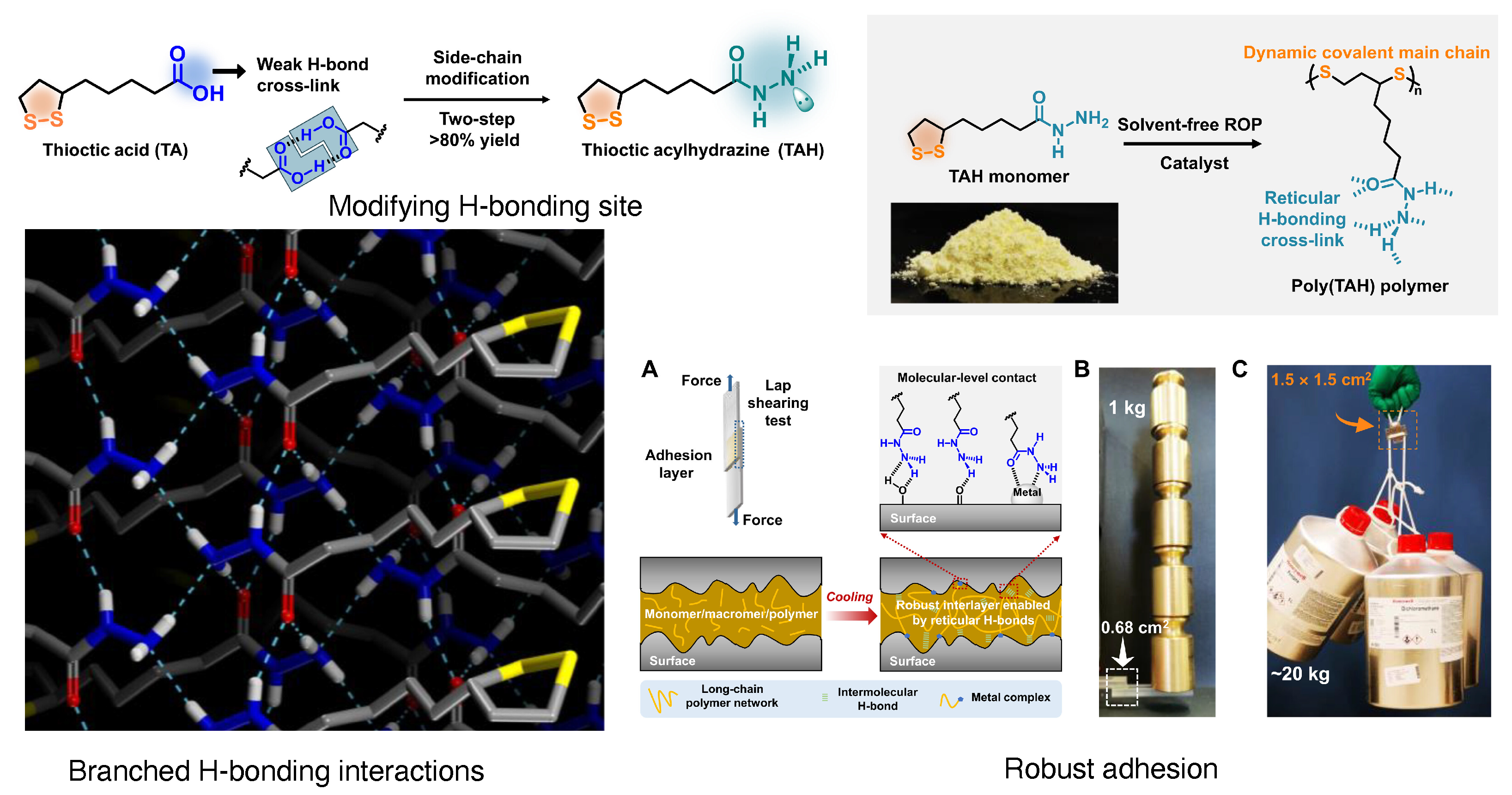 Biomimetics 10 00087 g004 Biomimetics 10 00087 g004