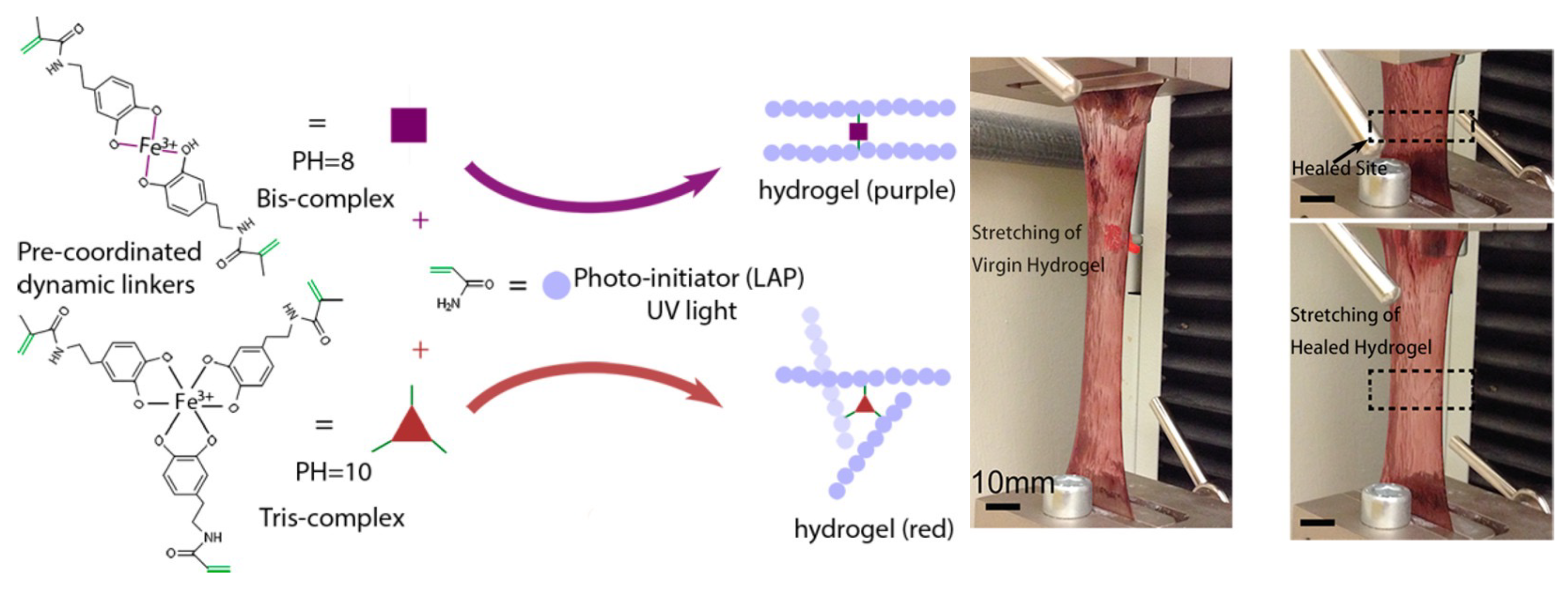 Biomimetics 10 00087 g005 Biomimetics 10 00087 g005