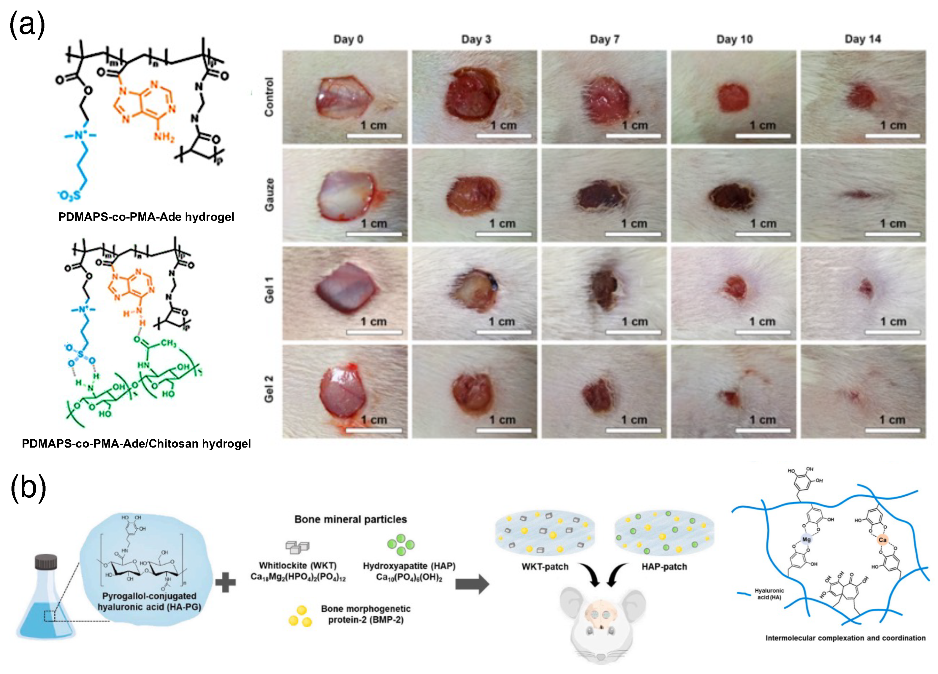 Biomimetics 10 00087 g006 Biomimetics 10 00087 g006
