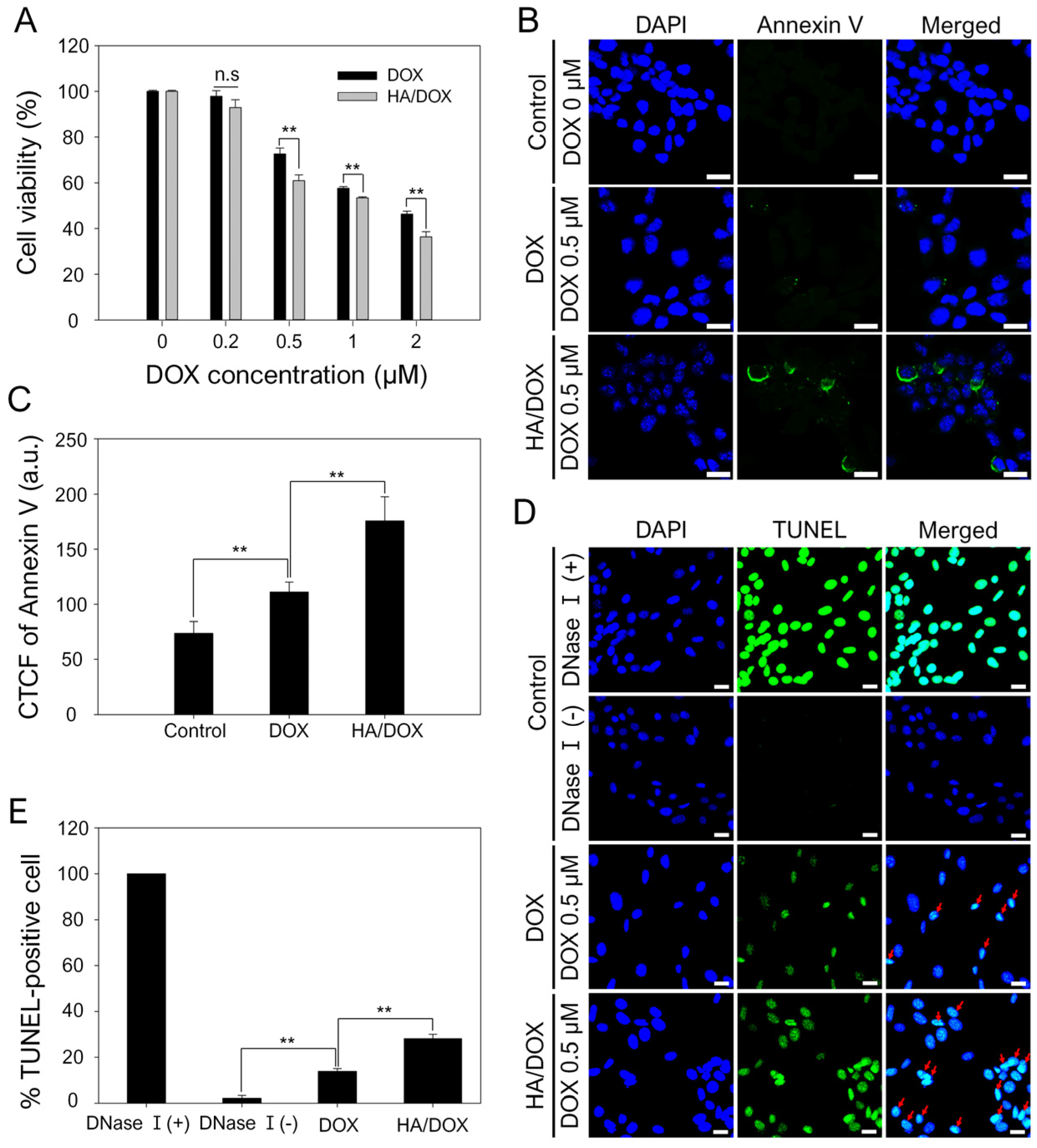 Biomimetics 10 00091 g006