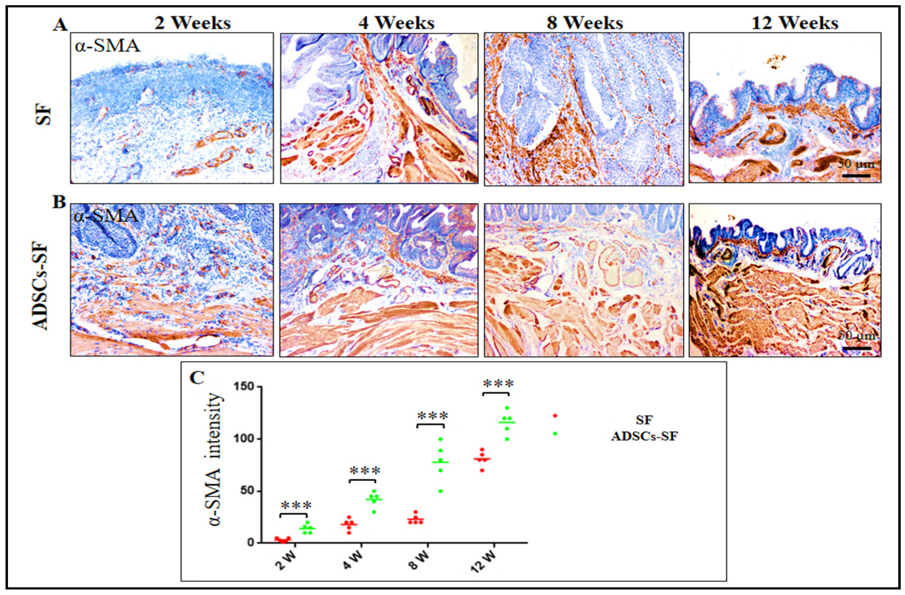 Biomimetics 10 00093 g007