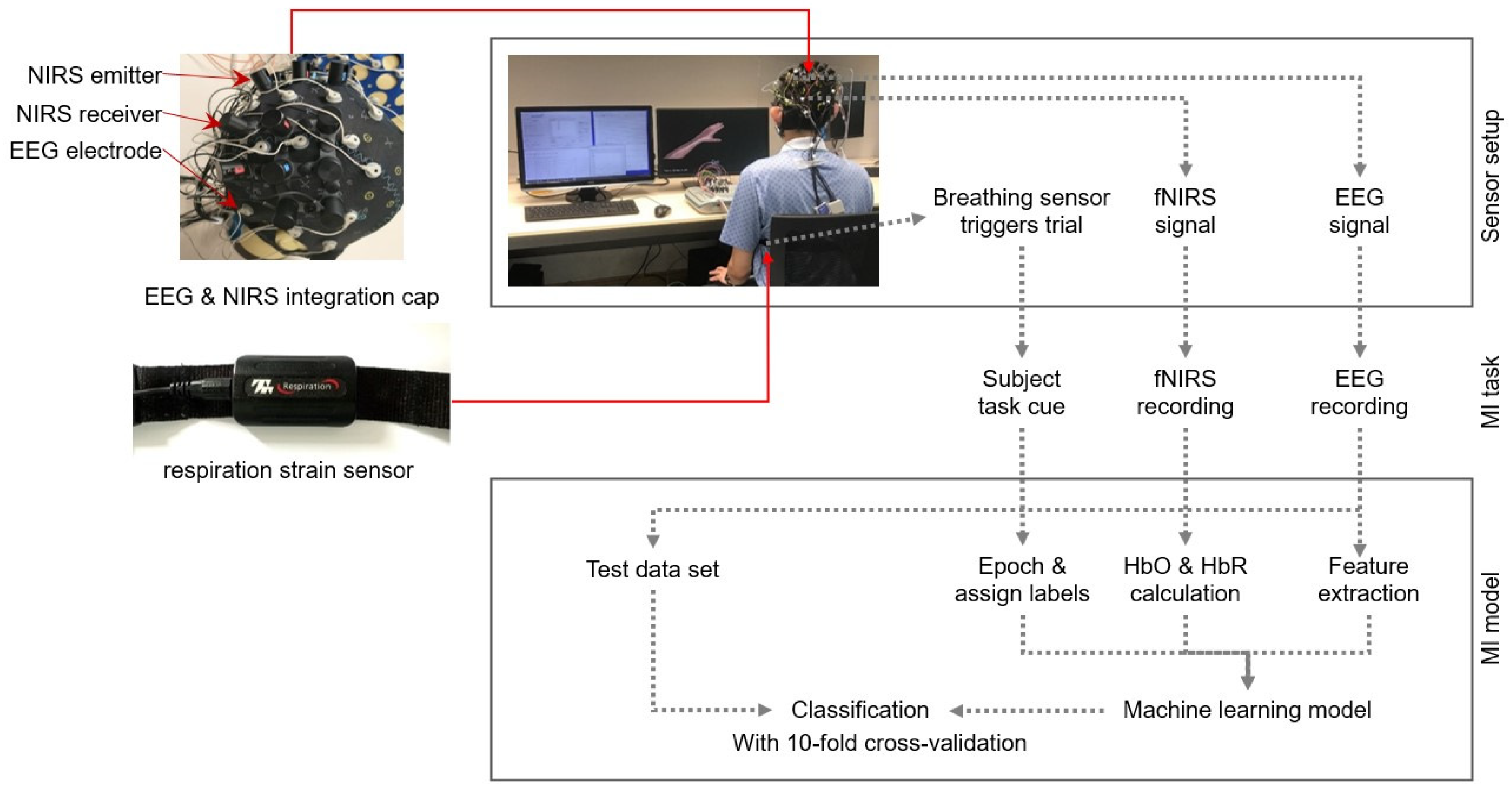 Biomimetics 10 00094 g001
