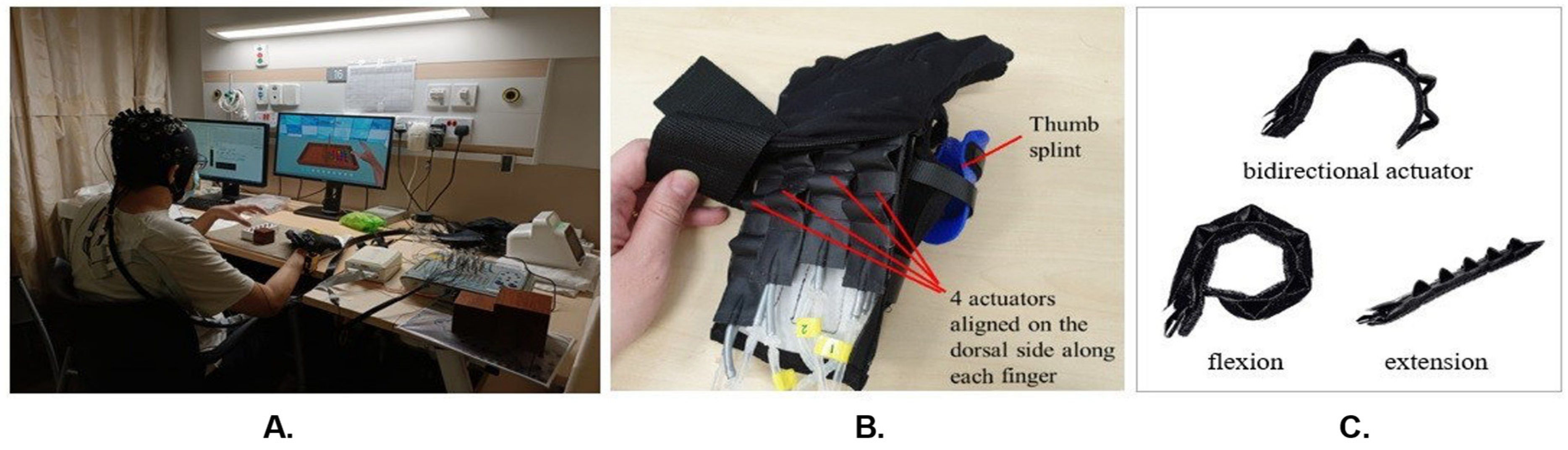 Biomimetics 10 00094 g002