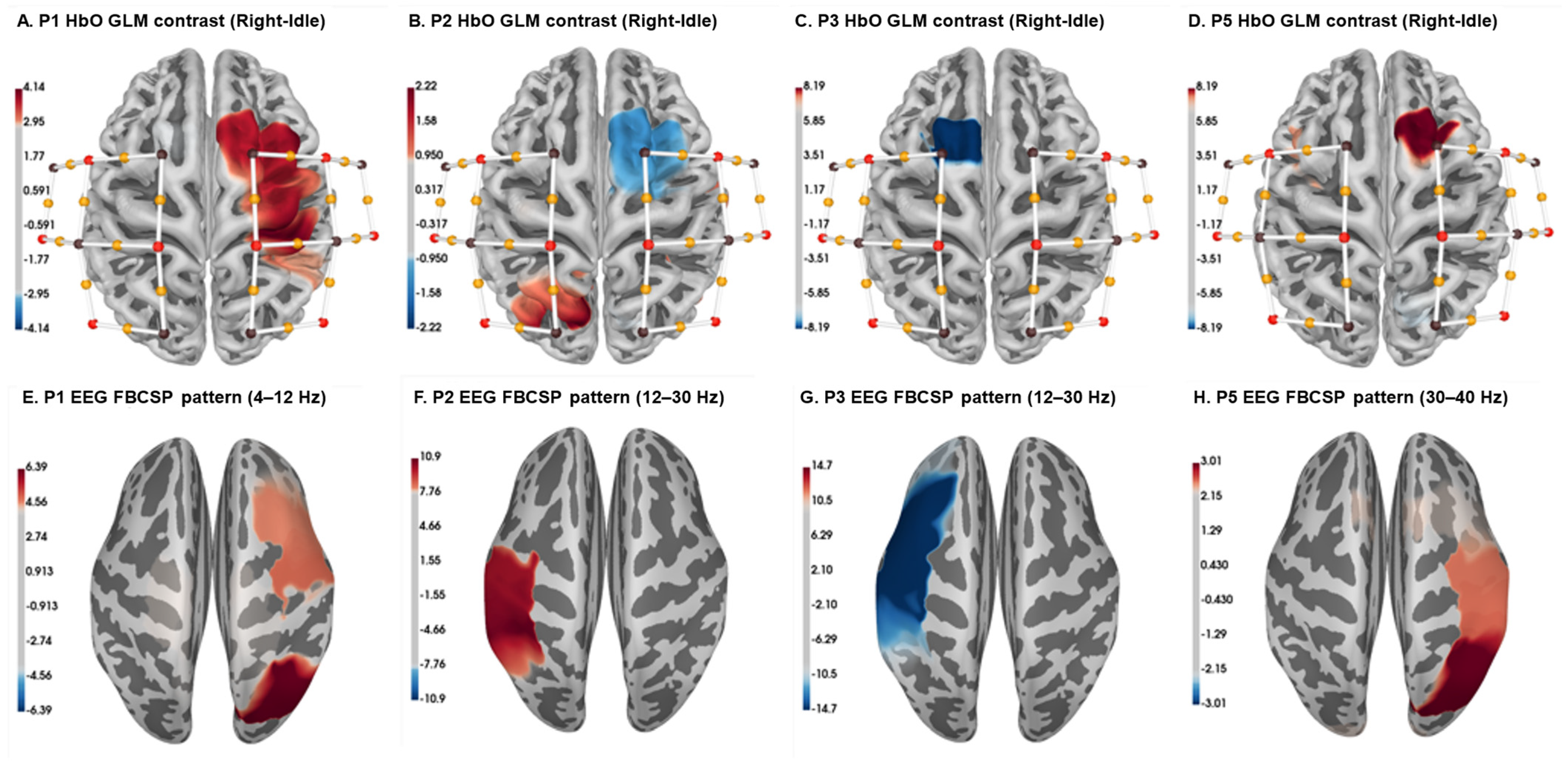 Biomimetics 10 00094 g004