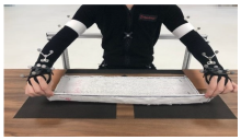 Biomimetics 10 00094 i001