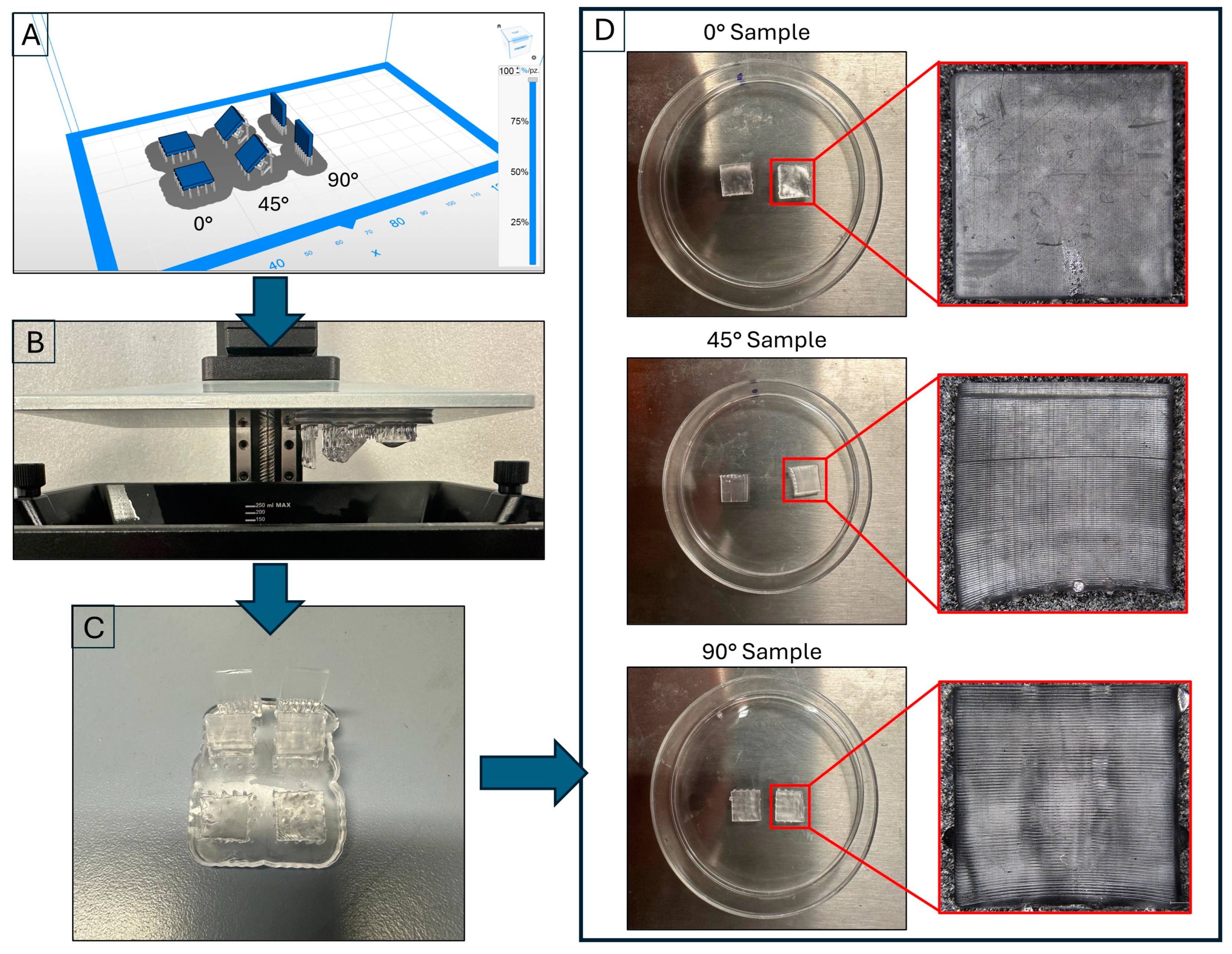Biomimetics 10 00095 g001