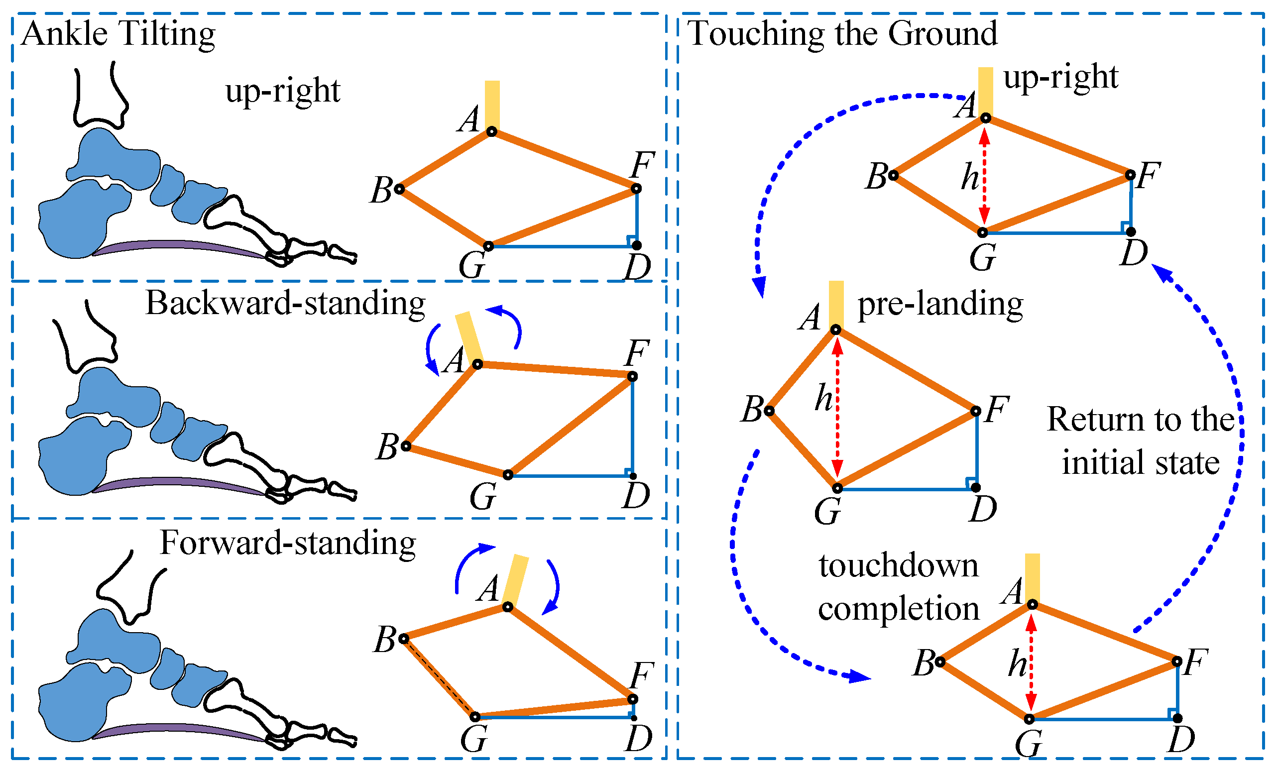 Biomimetics 10 00096 g001