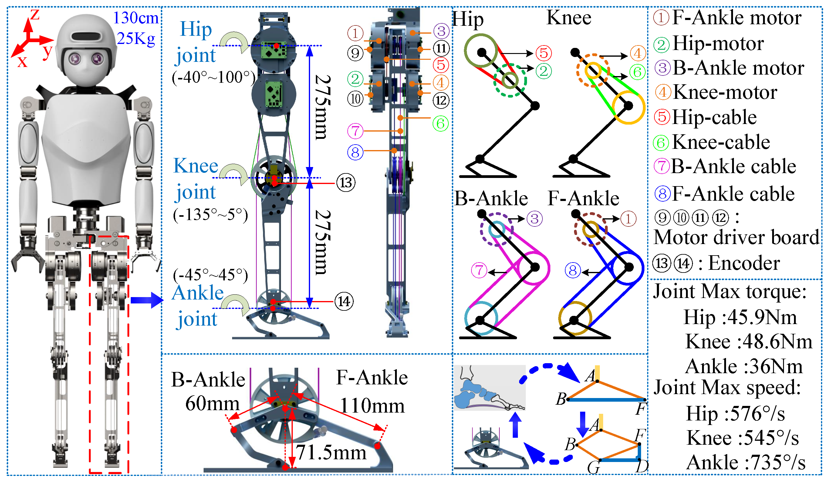 Biomimetics 10 00096 g002
