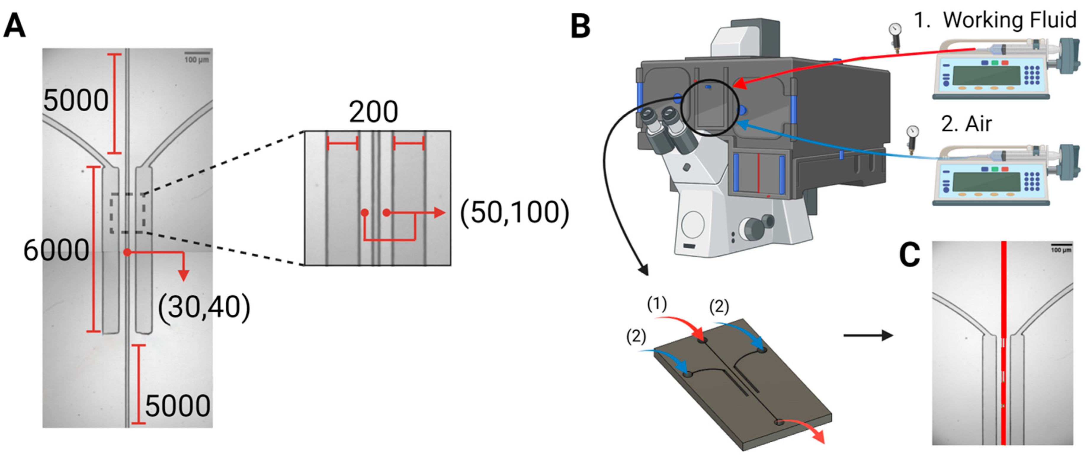 Biomimetics 10 00098 g001