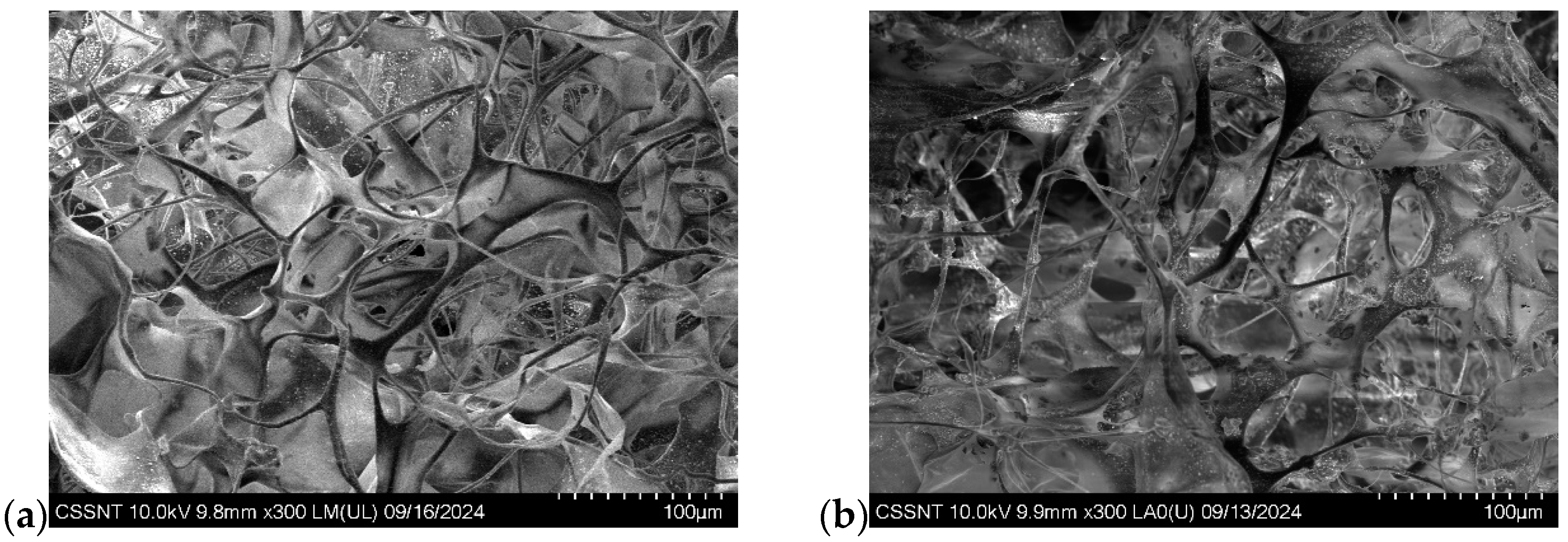 Biomimetics 10 00100 g004a Biomimetics 10 00100 g004a