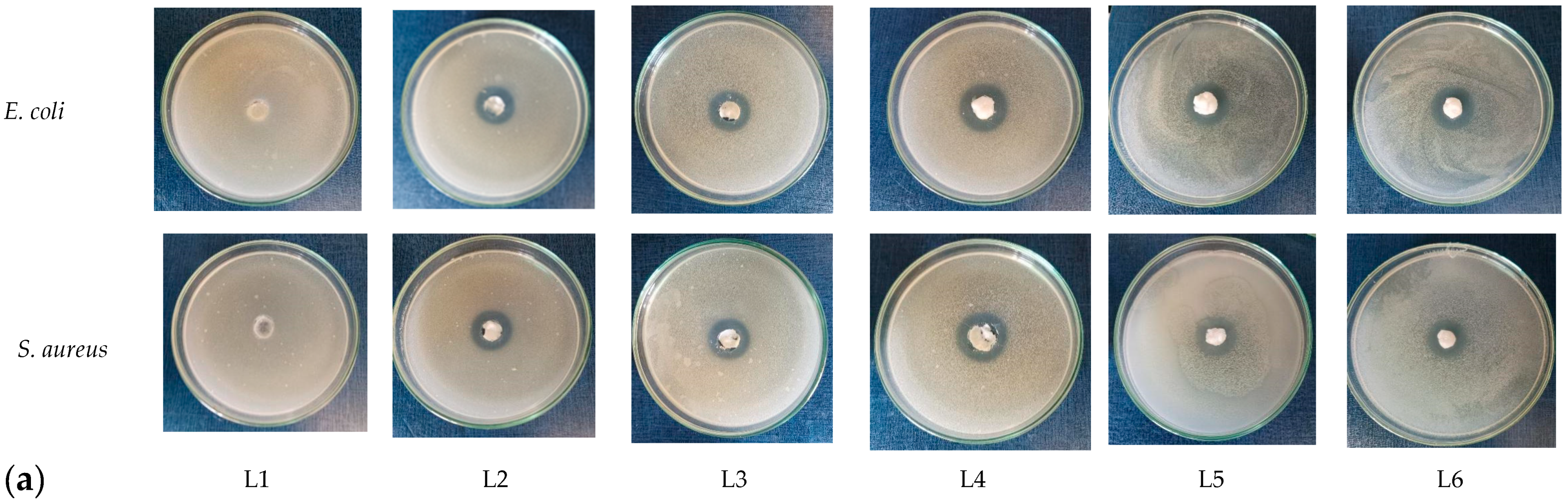 Biomimetics 10 00100 g006a Biomimetics 10 00100 g006a