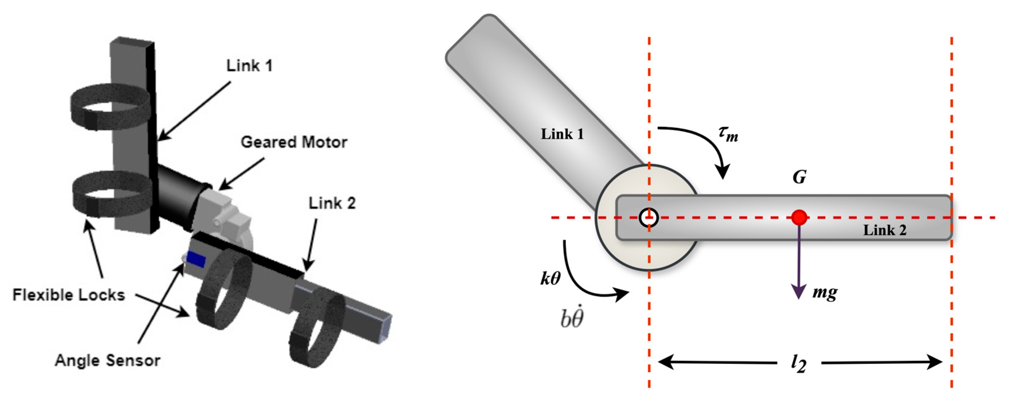 Biomimetics 10 00106 g002