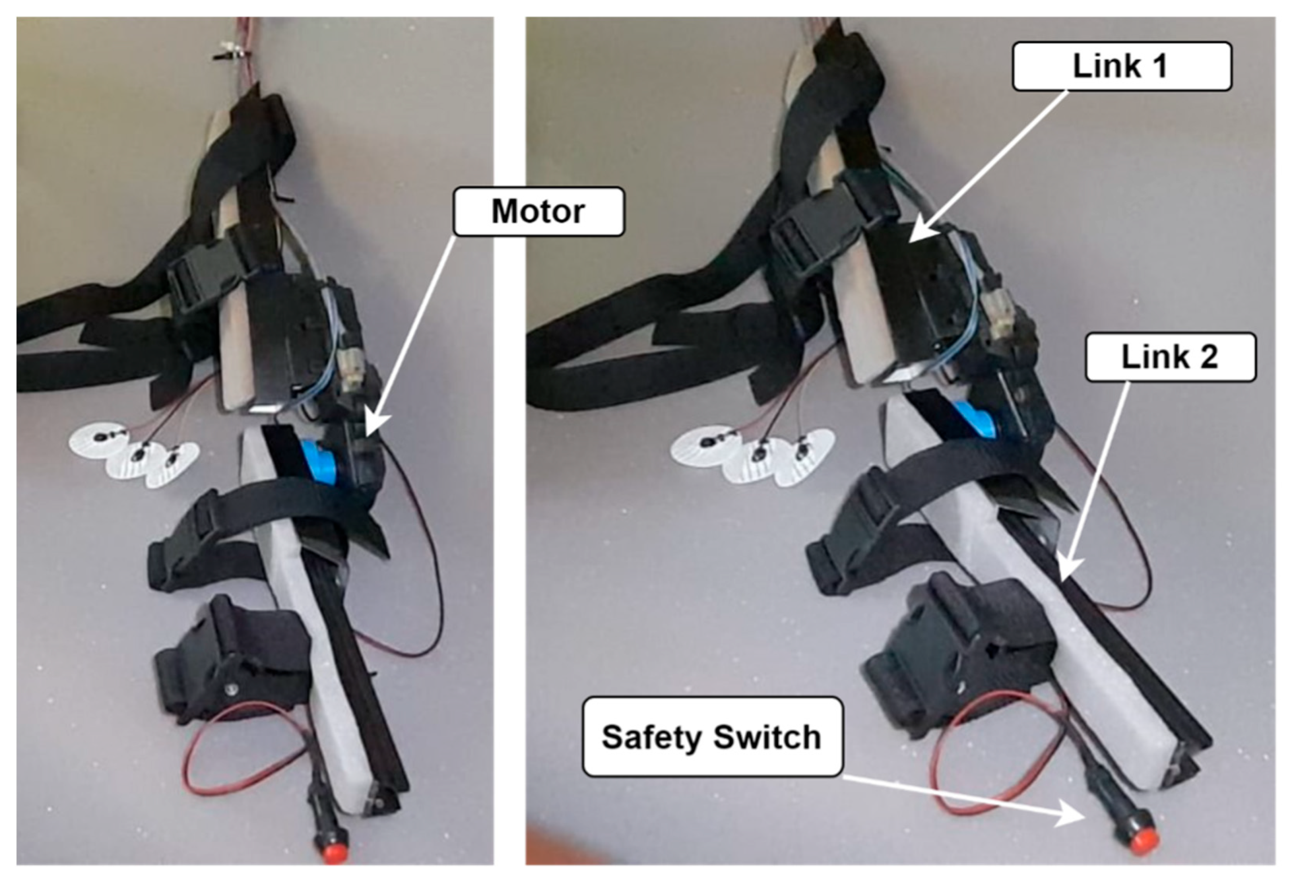 Biomimetics 10 00106 g003