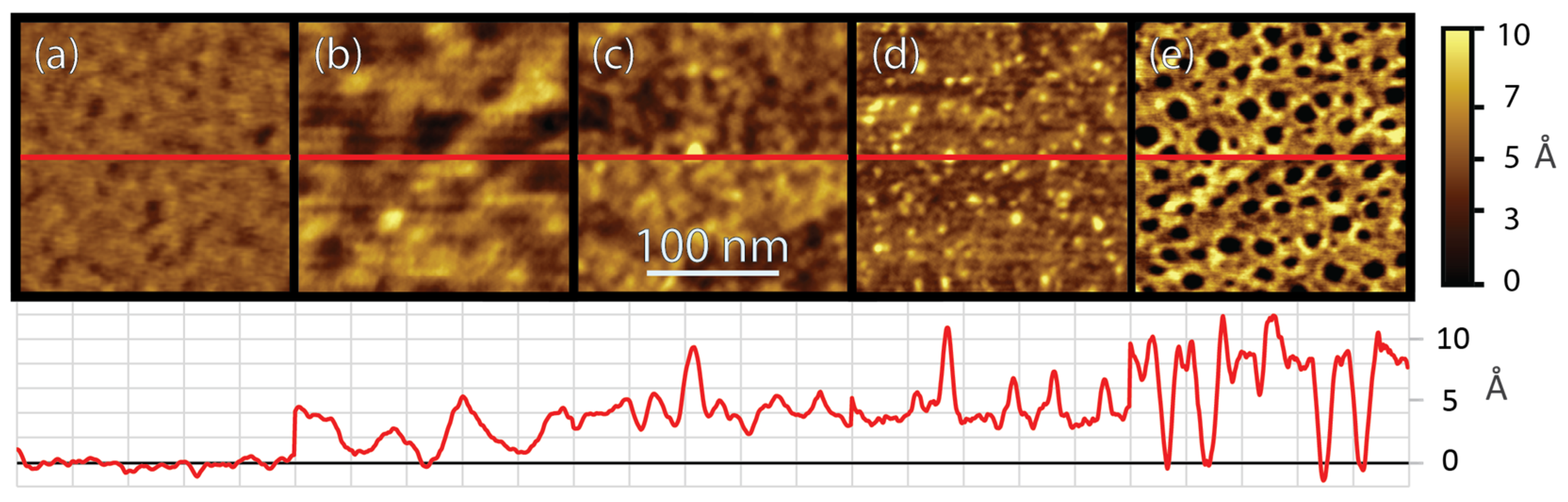 Biomimetics 10 00107 g001 Biomimetics 10 00107 g001