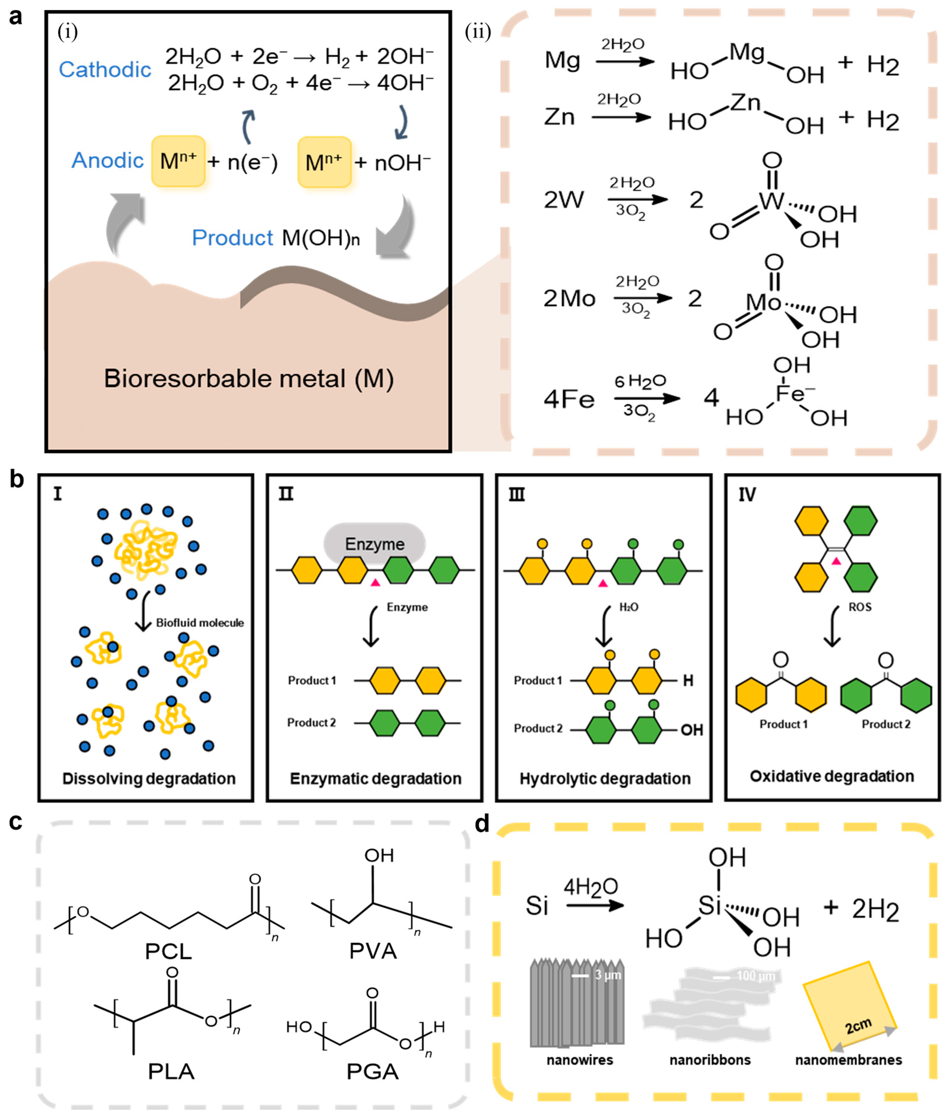 Biomimetics 10 00108 g002