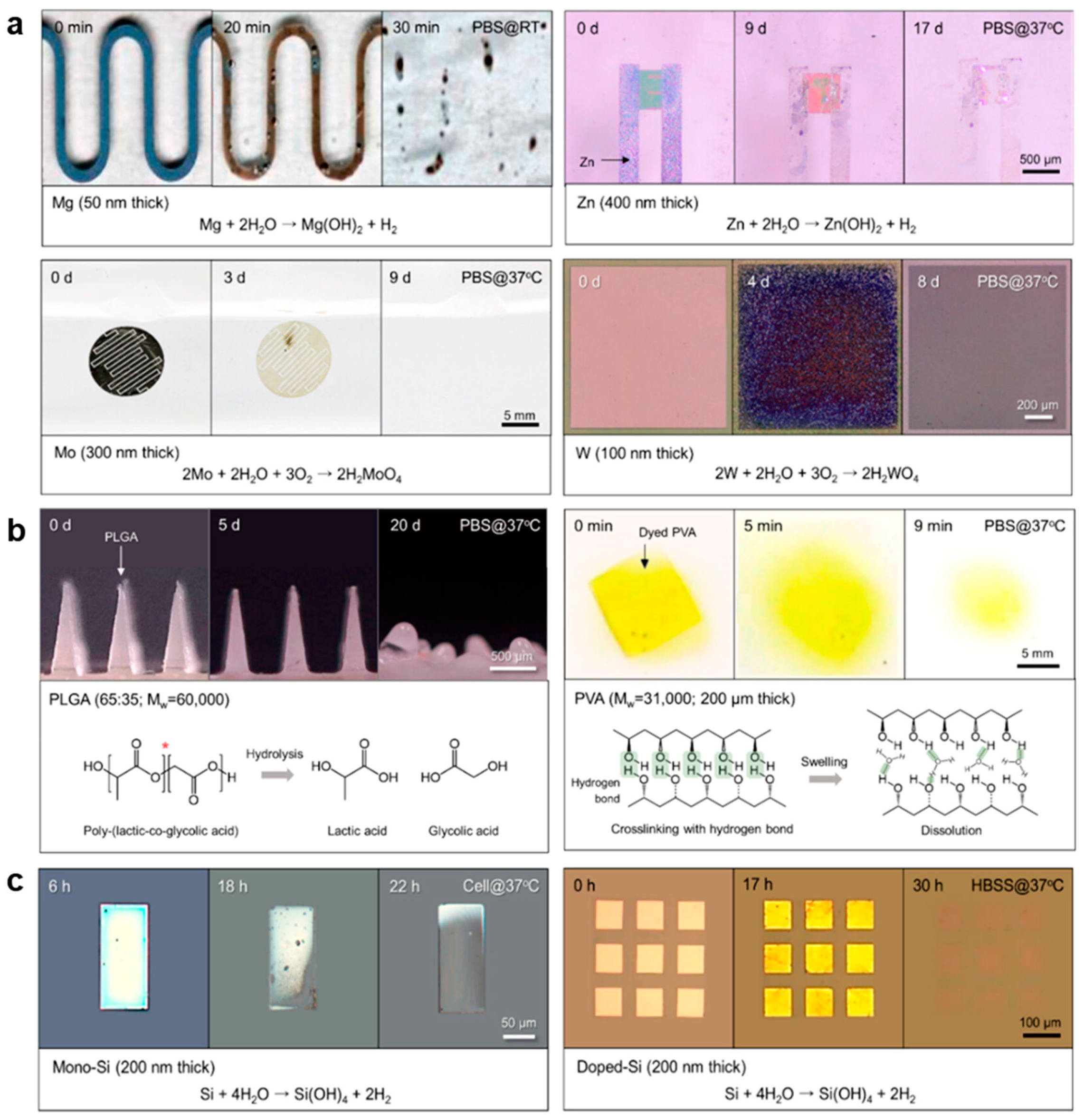 Biomimetics 10 00108 g003