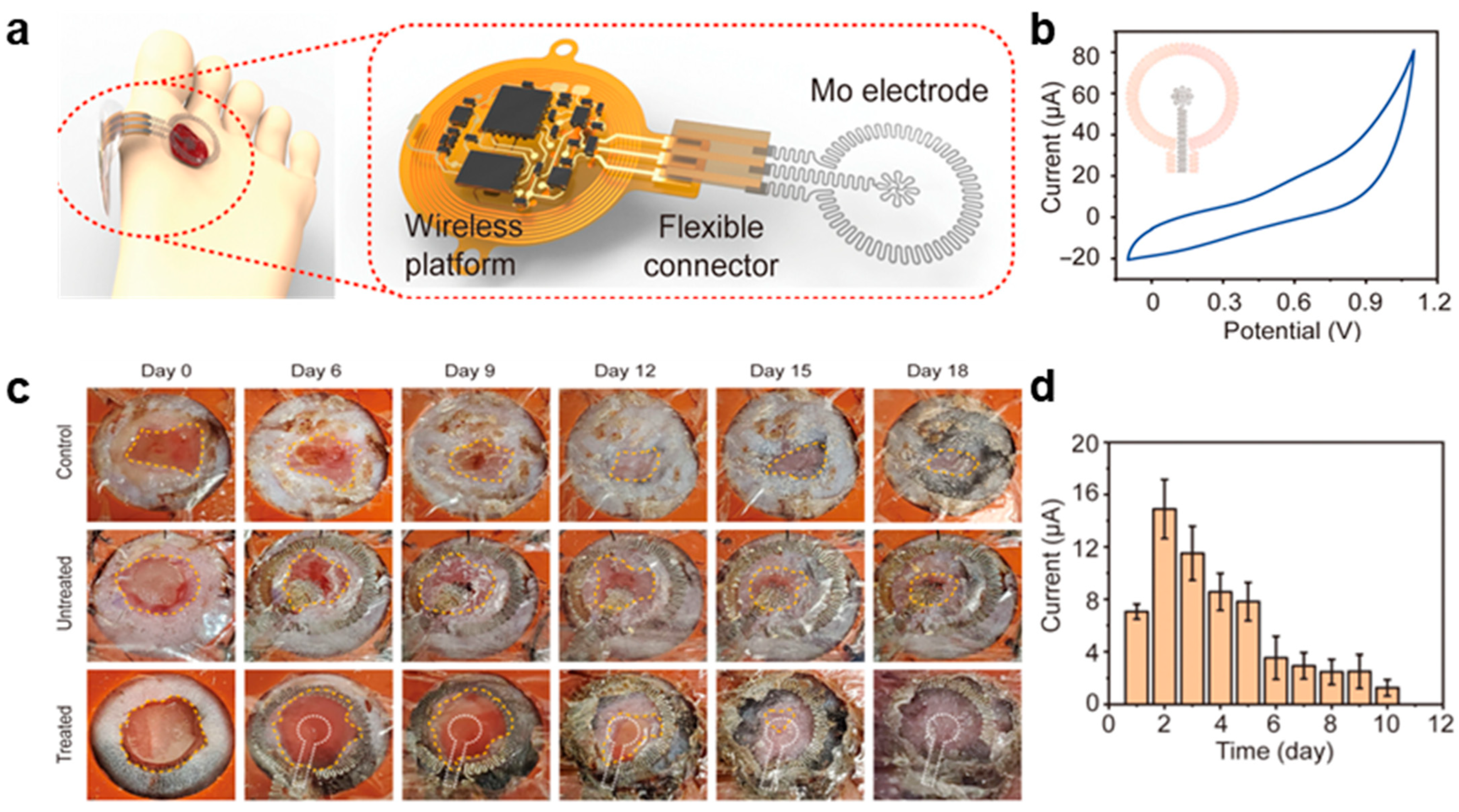 Biomimetics 10 00108 g004