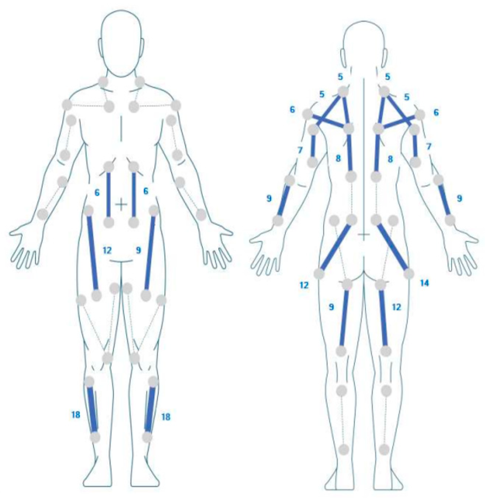 Biomimetics 10 00113 g001