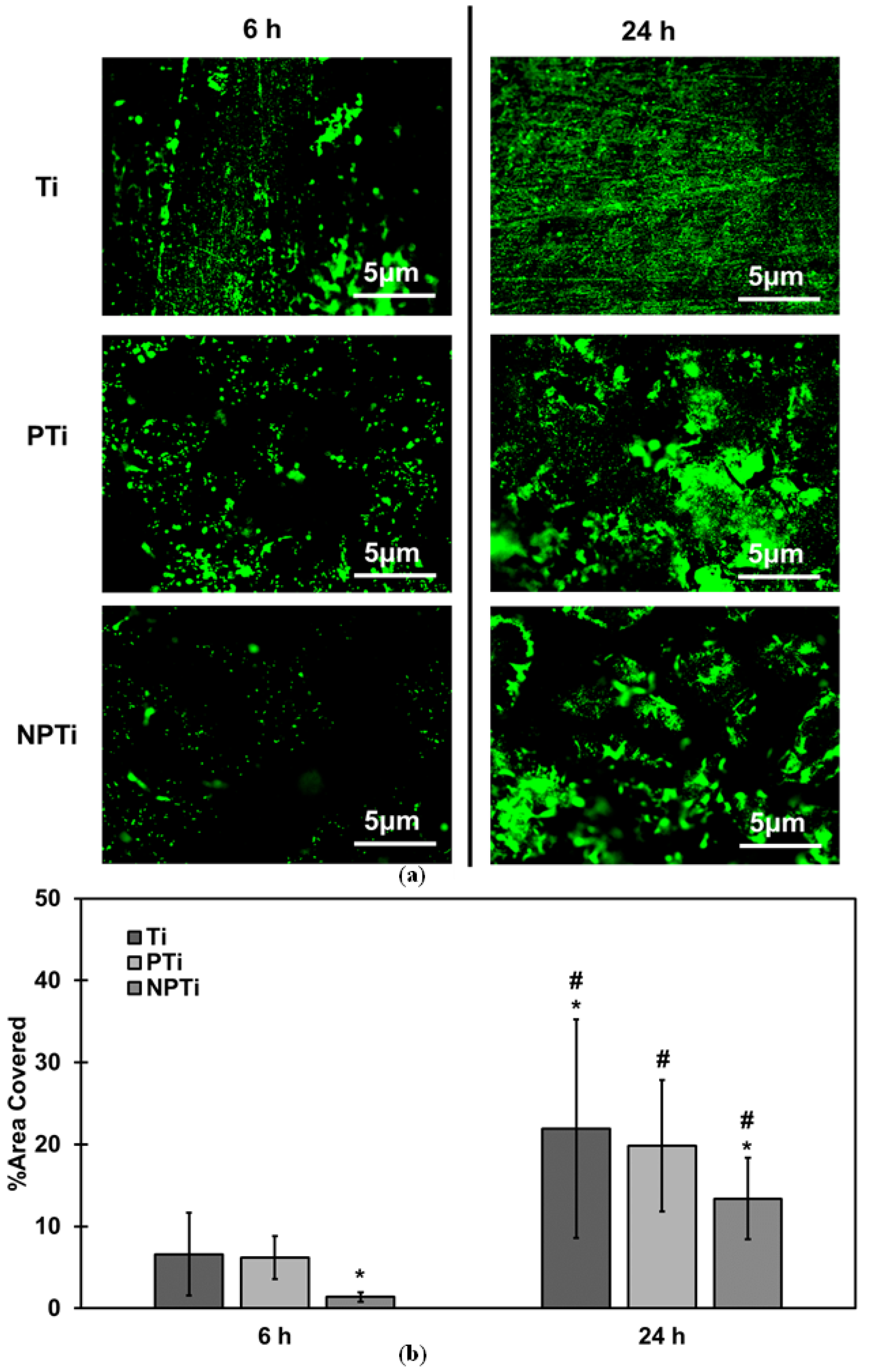 Biomimetics 10 00115 g005