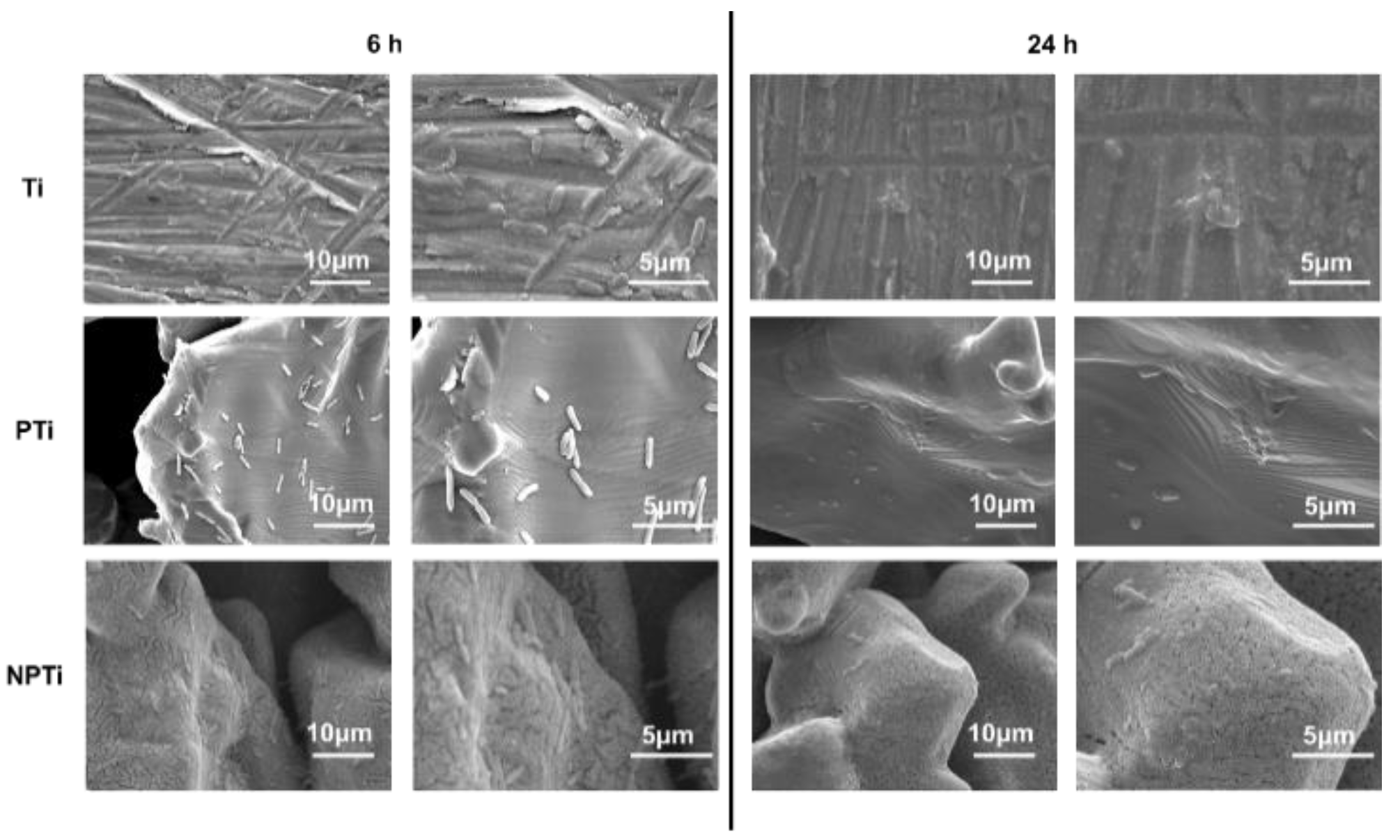 Biomimetics 10 00115 g007
