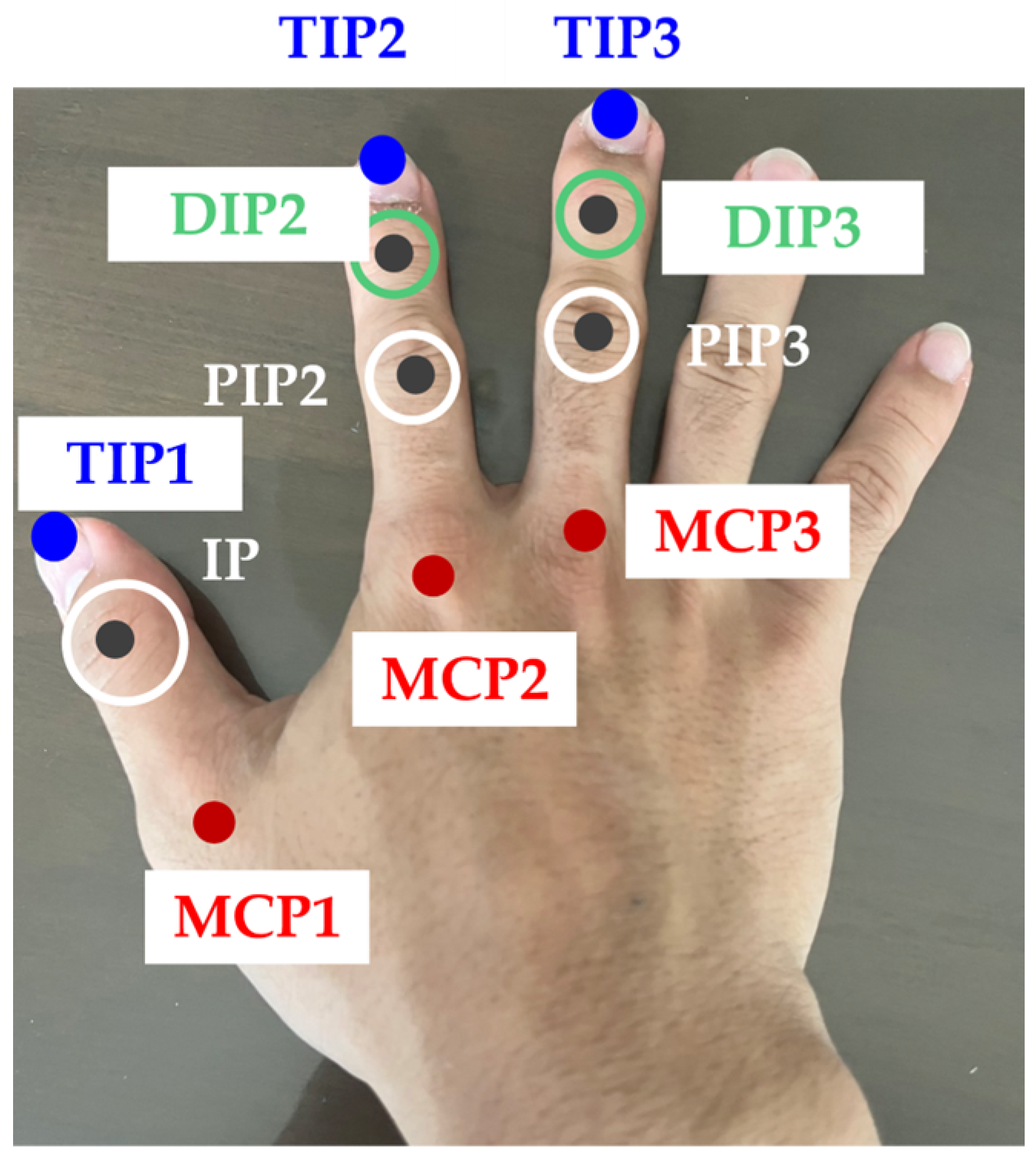Biomimetics 10 00116 g002