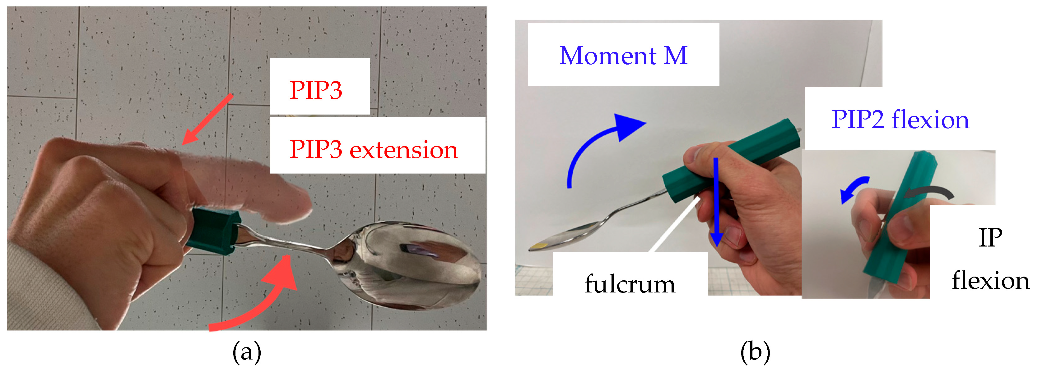 Biomimetics 10 00116 g004