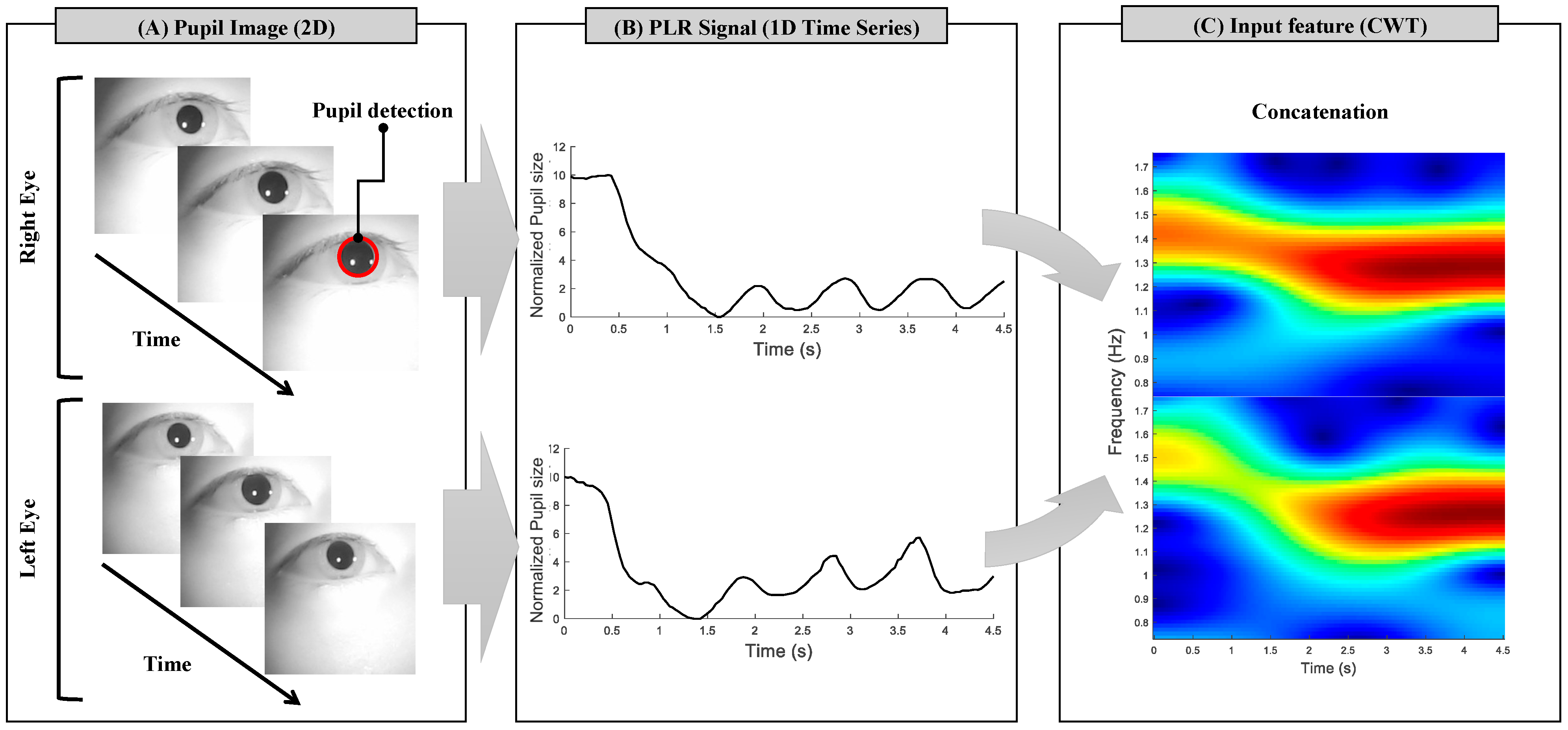 Biomimetics 10 00118 g003