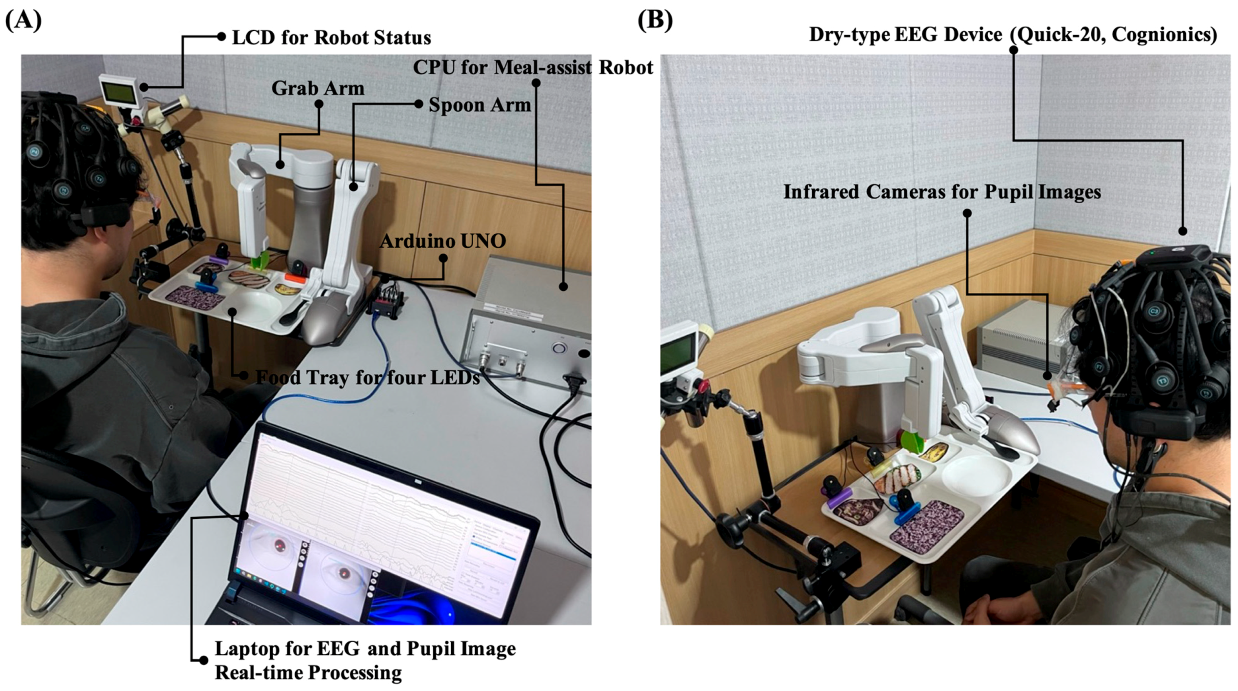 Biomimetics 10 00118 g007