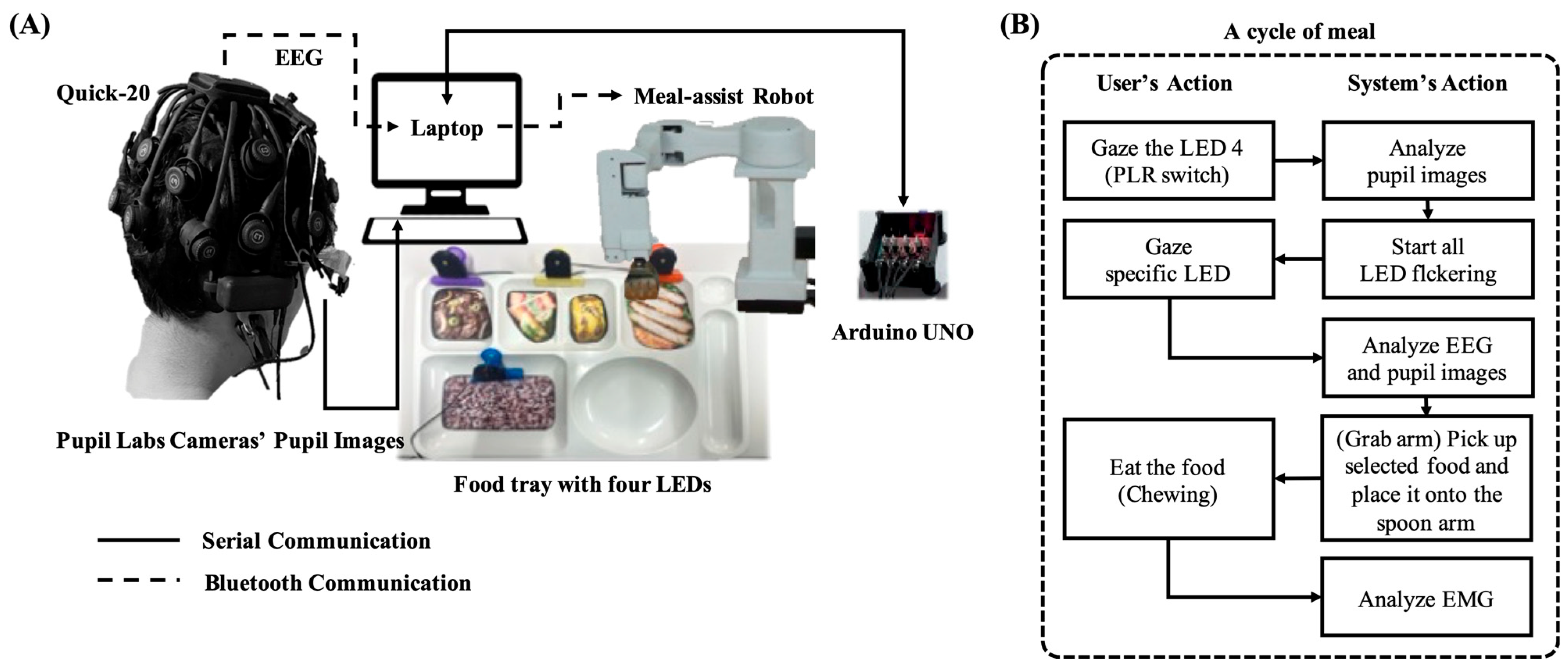Biomimetics 10 00118 g012