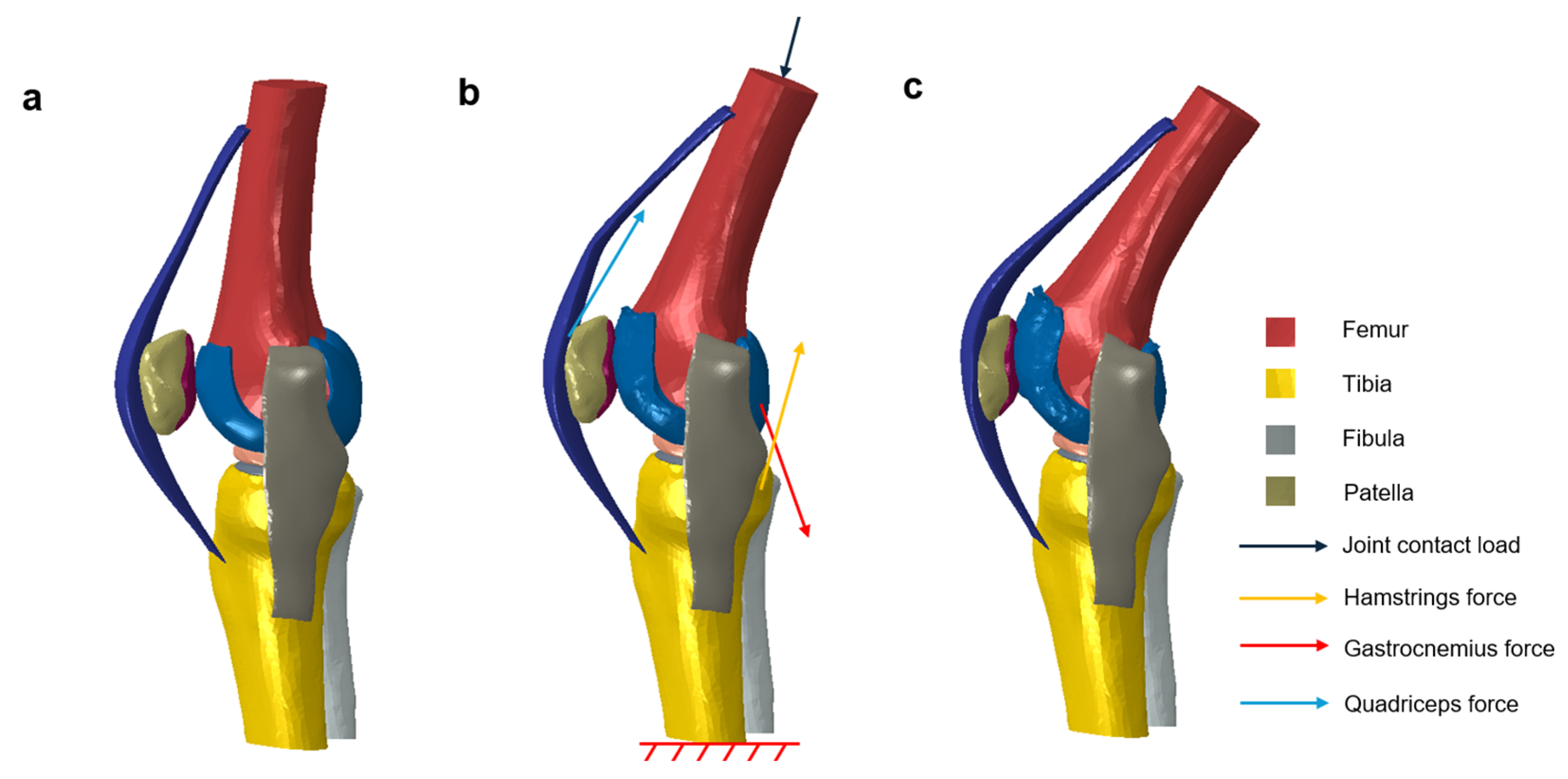 Biomimetics 10 00119 g004