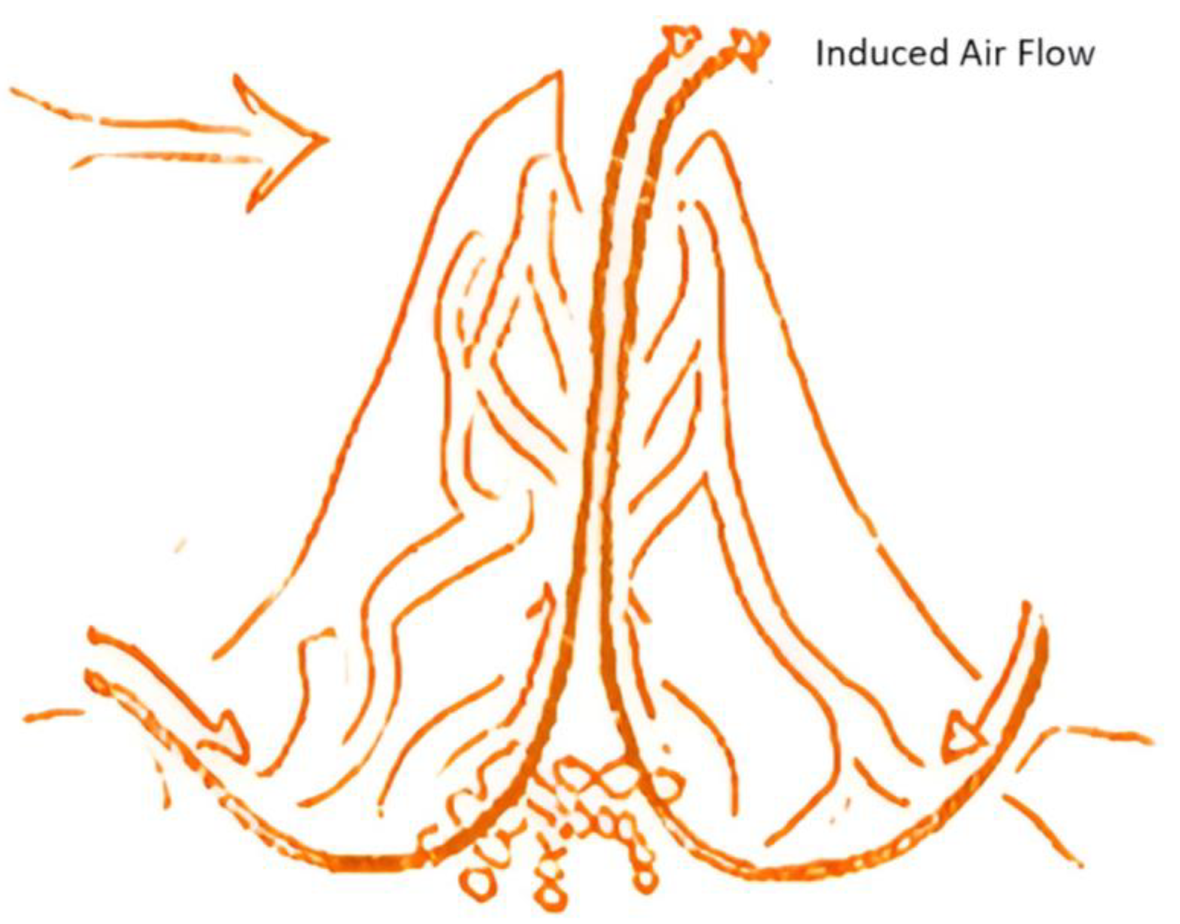 Biomimetics 10 00122 g008