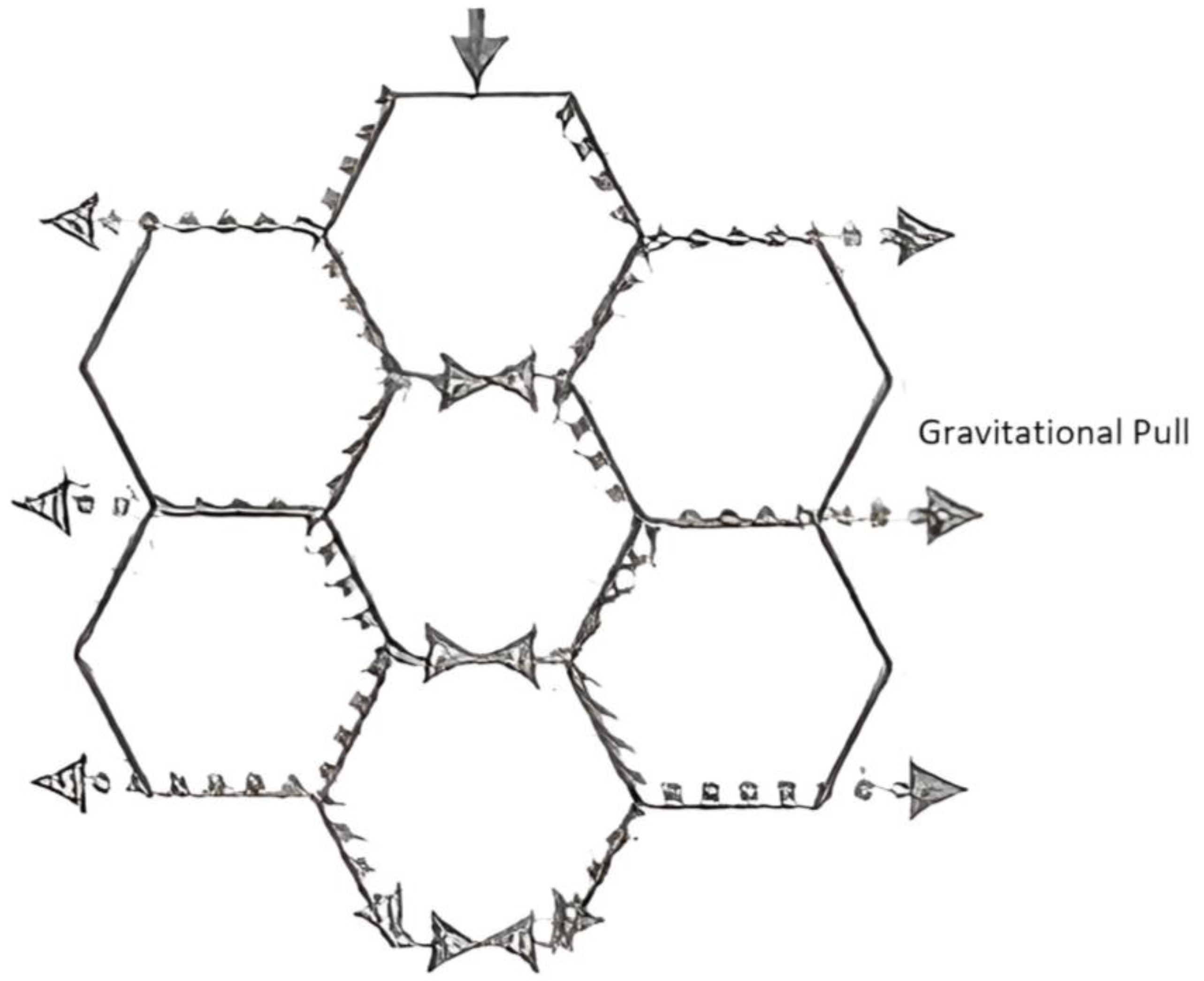 Biomimetics 10 00122 g013