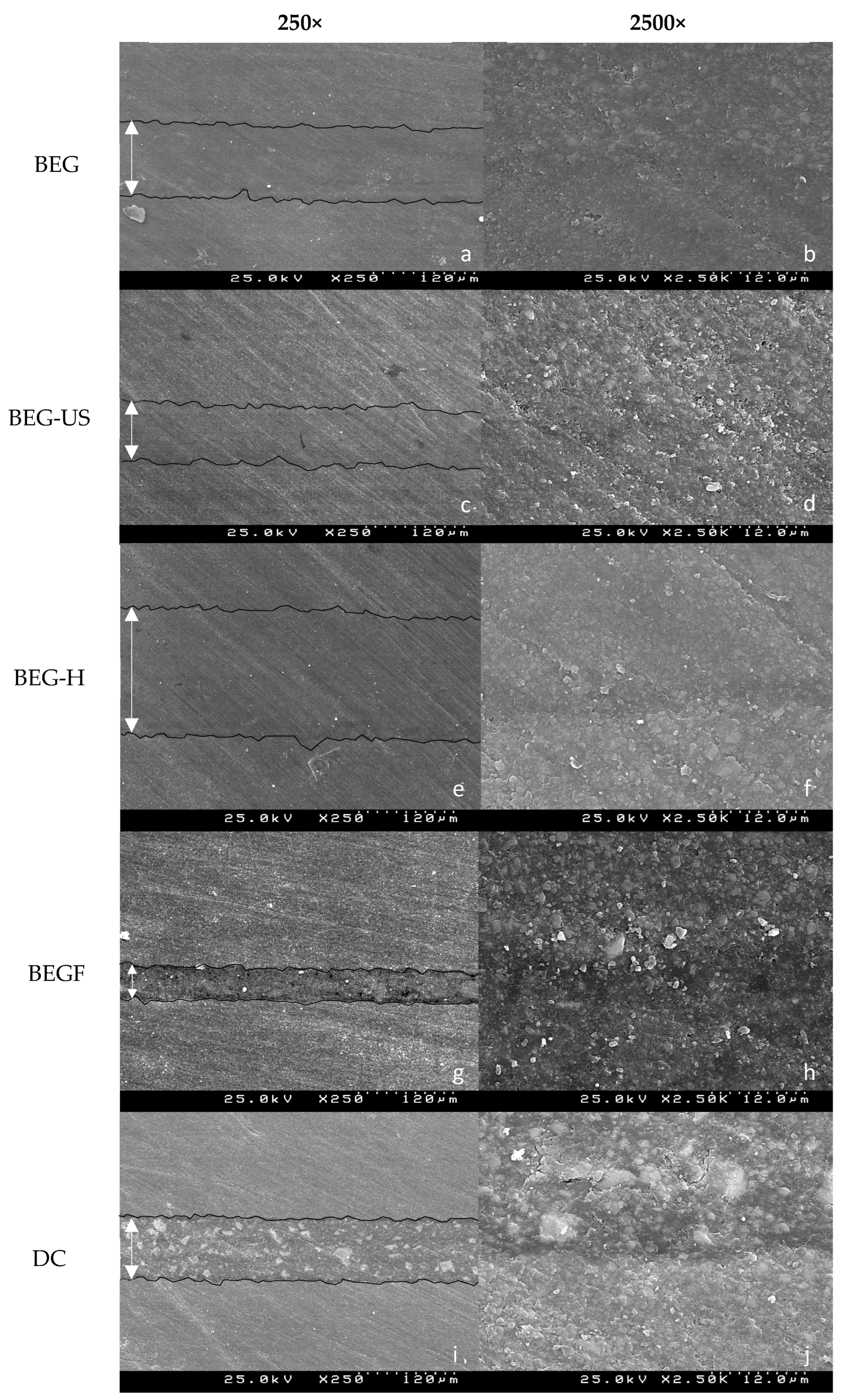 Biomimetics 10 00123 g003